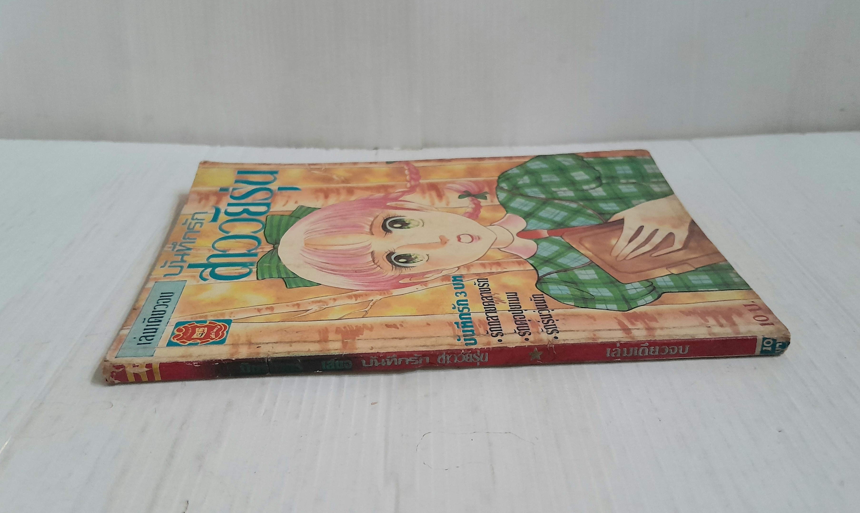 บันทึกรักสาววัยรุ่น (เล่มเดียวจบ)