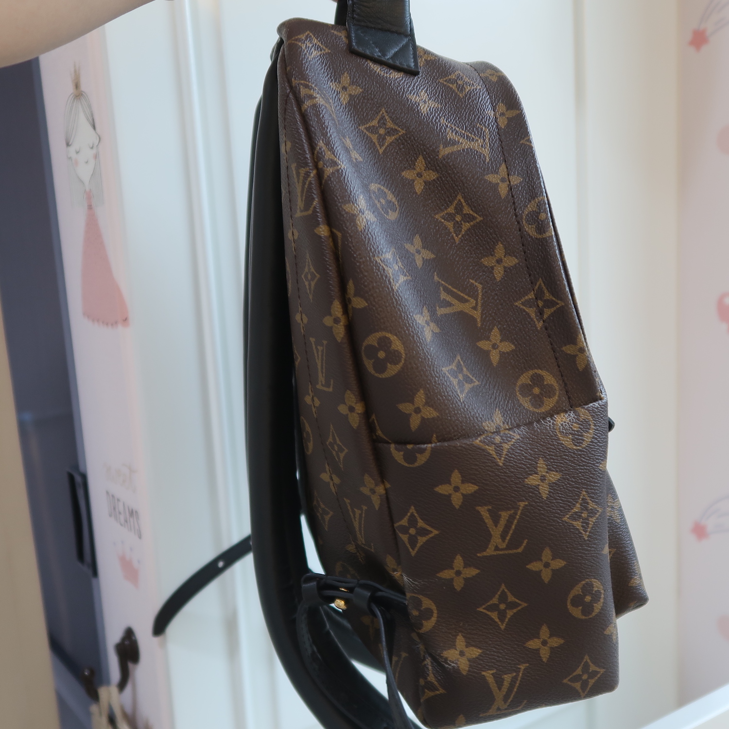 Louis Vuitton Monogram Palm Spring MM