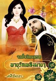 พายุรักเพลิงมายา /ศศิร์นารา /ink