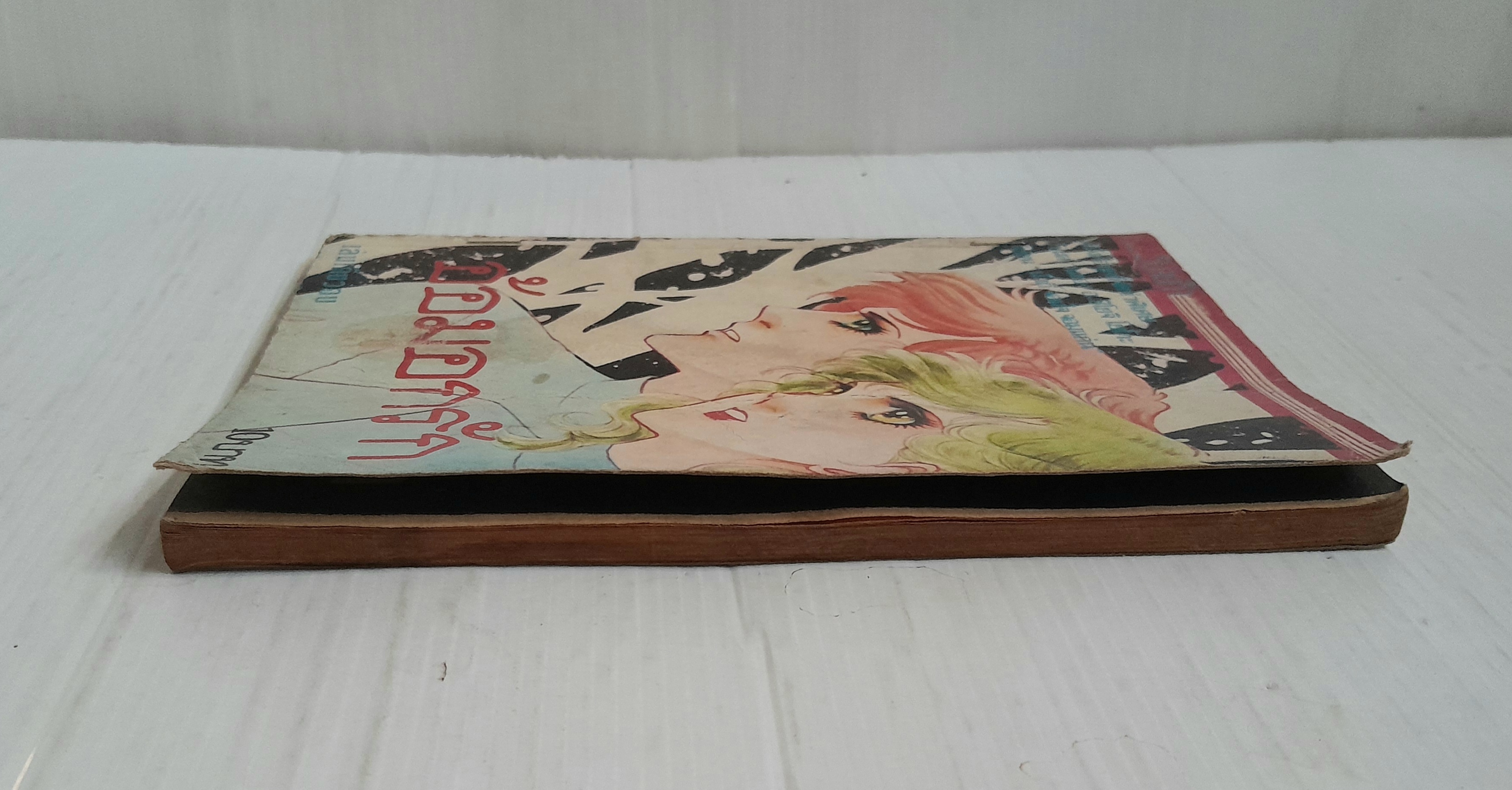 อ้อมอกรัก (เล่มเดียวจบ) / ชิโยจิ โยโกะ