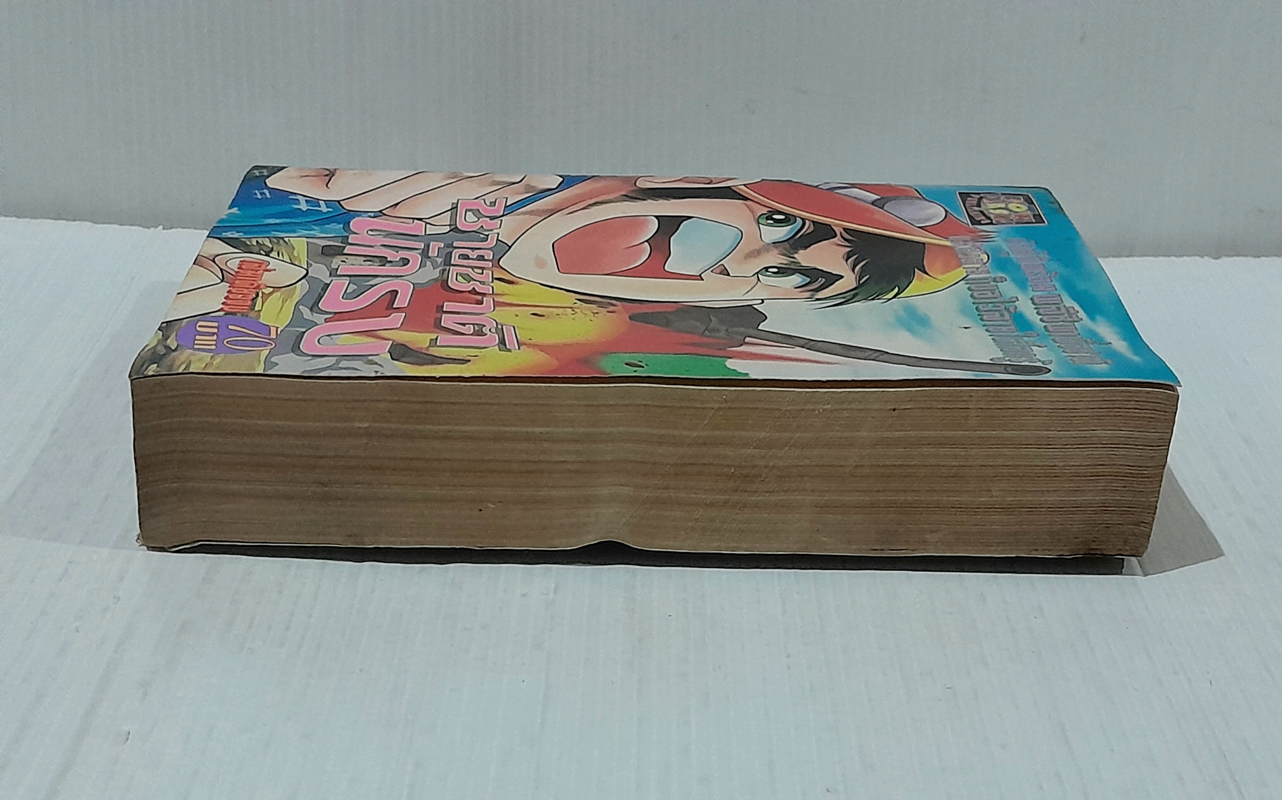 ชายชาตินักรบ (เล่มเดียวจบ)