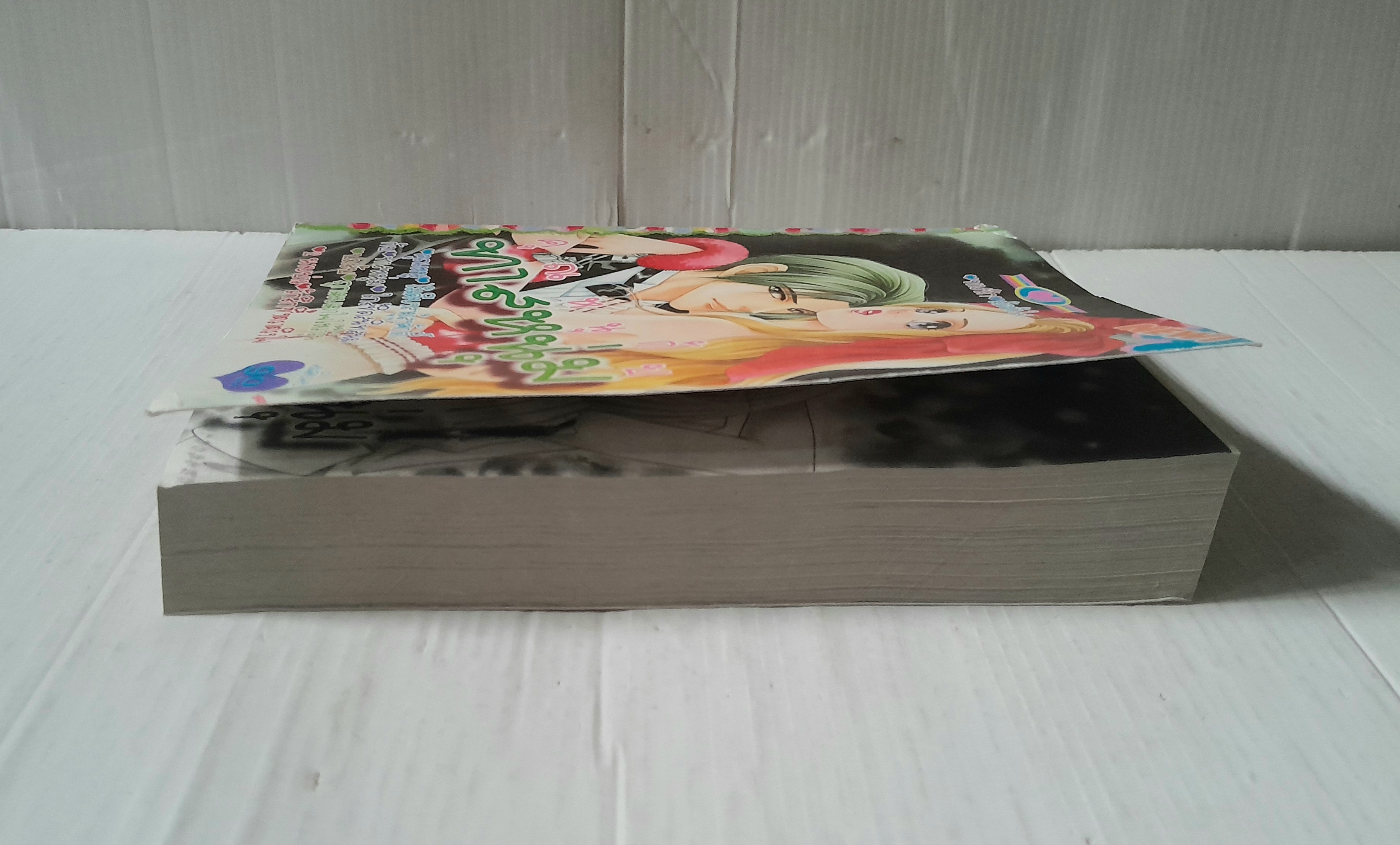 คุณหนูกับทาสหนุ่ม (เล่มเดียวจบ)