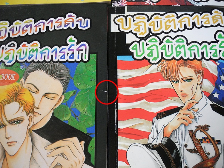 ปฏิบัติการลับ ปฏิบัติการรัก 8 เล่มจบ
