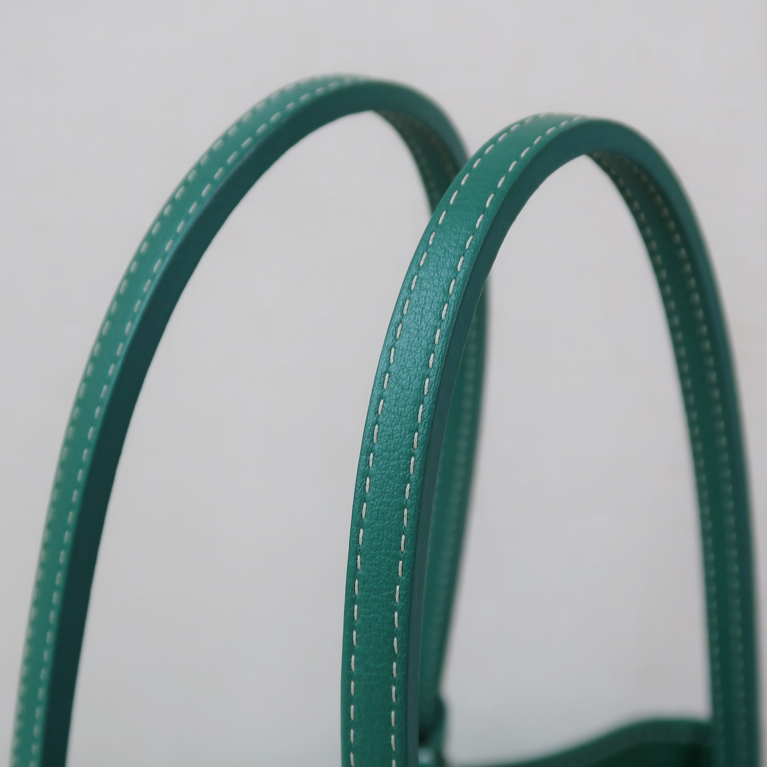 Goyard Green Monogram Anjou Mini Bag (2024)