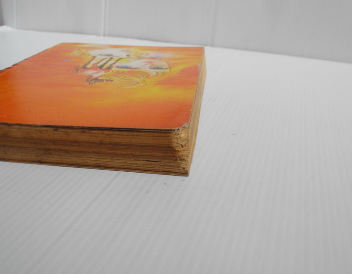 แบล็คเบิร์ด ( เล่มเดียวจบ ) / ASO IZUMI