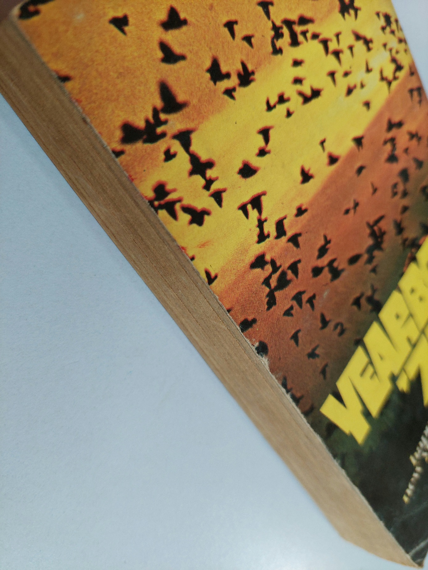 i.s. song hits ฉบับพิเศษ yearbook '77