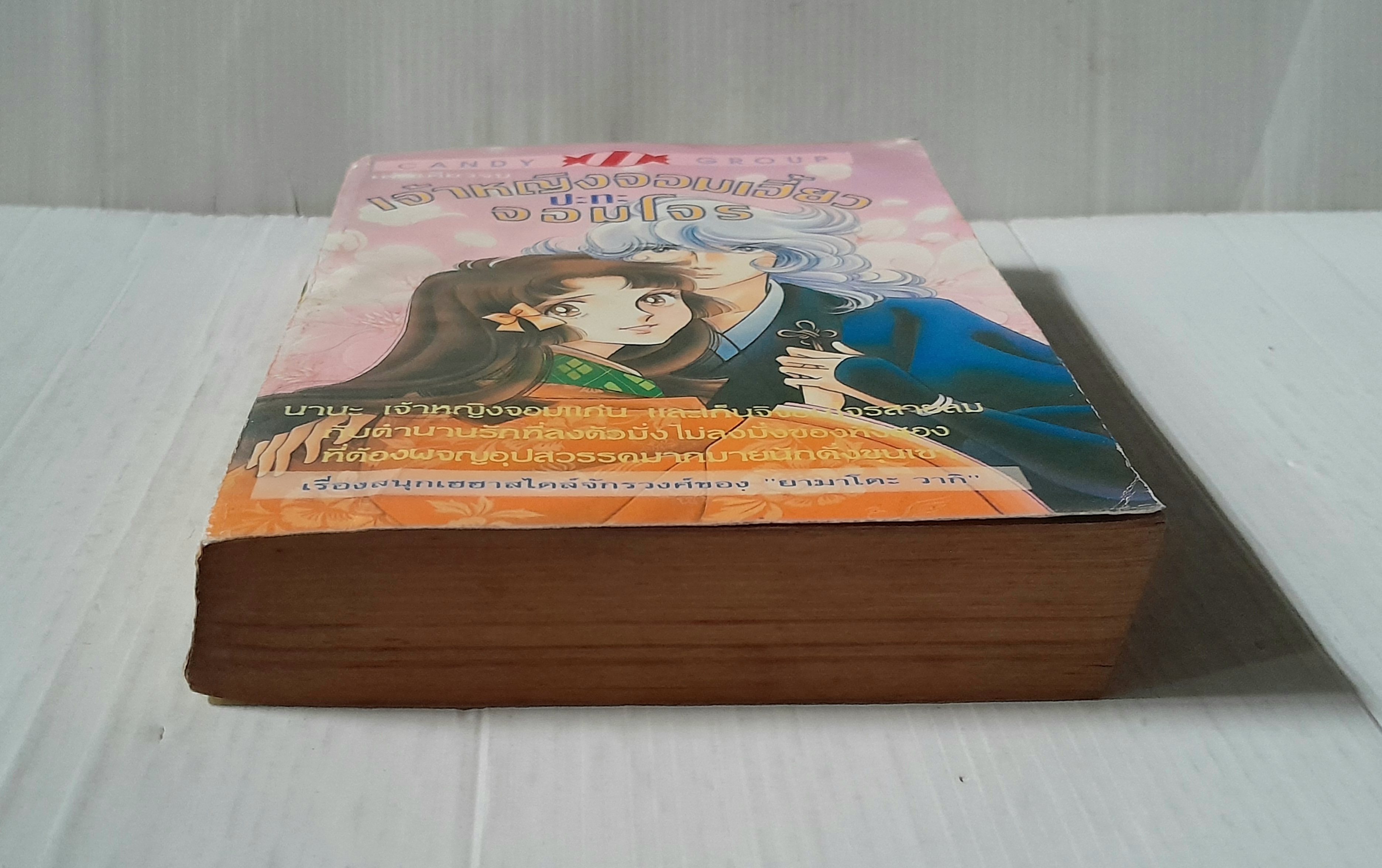 เจ้าหญิงจอมเฮี้ยวปะทะจอมโจร (เล่มเดียวจบ) / ยามาโตะ วากิ