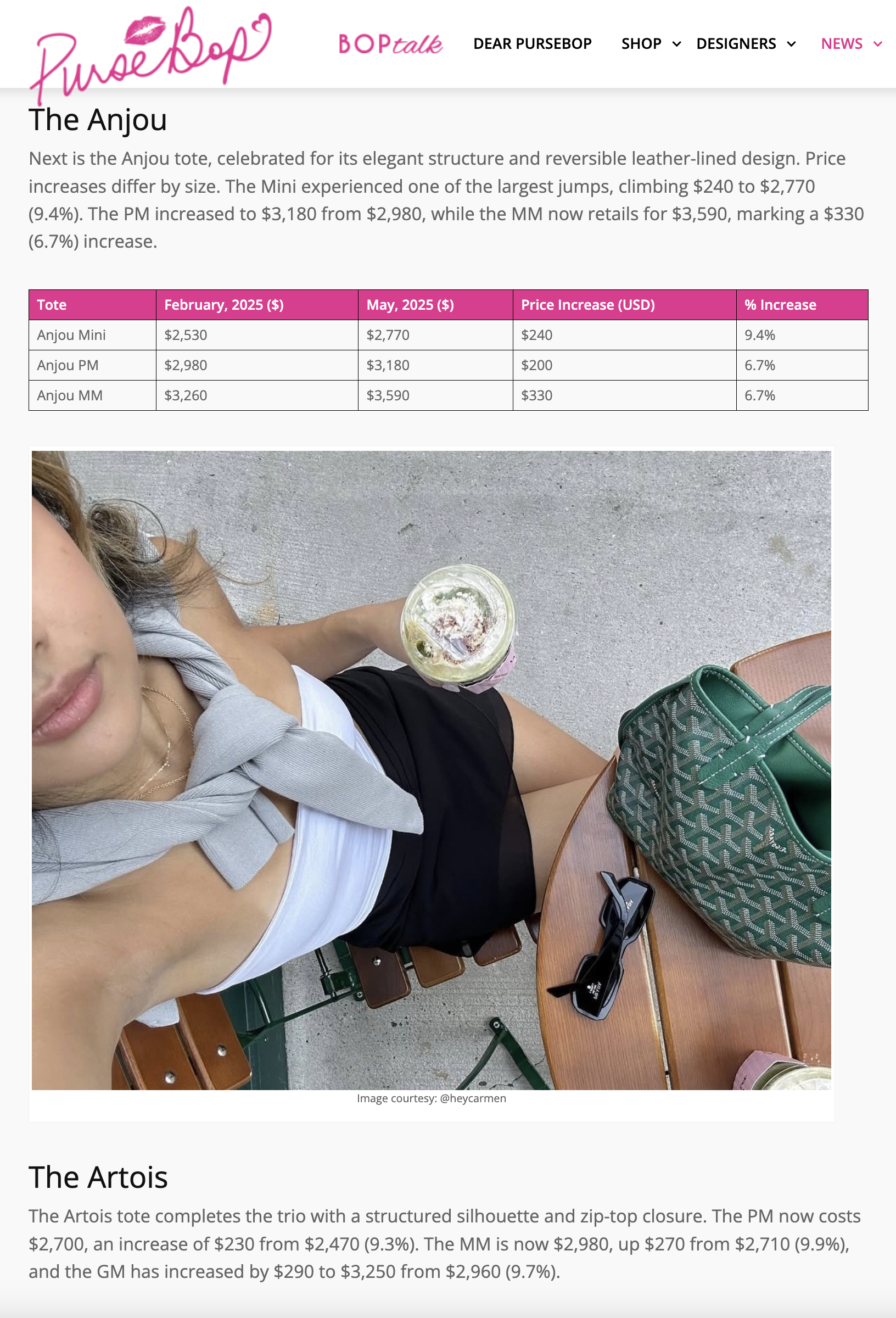 Goyard Green Monogram Anjou Mini Bag (2024)