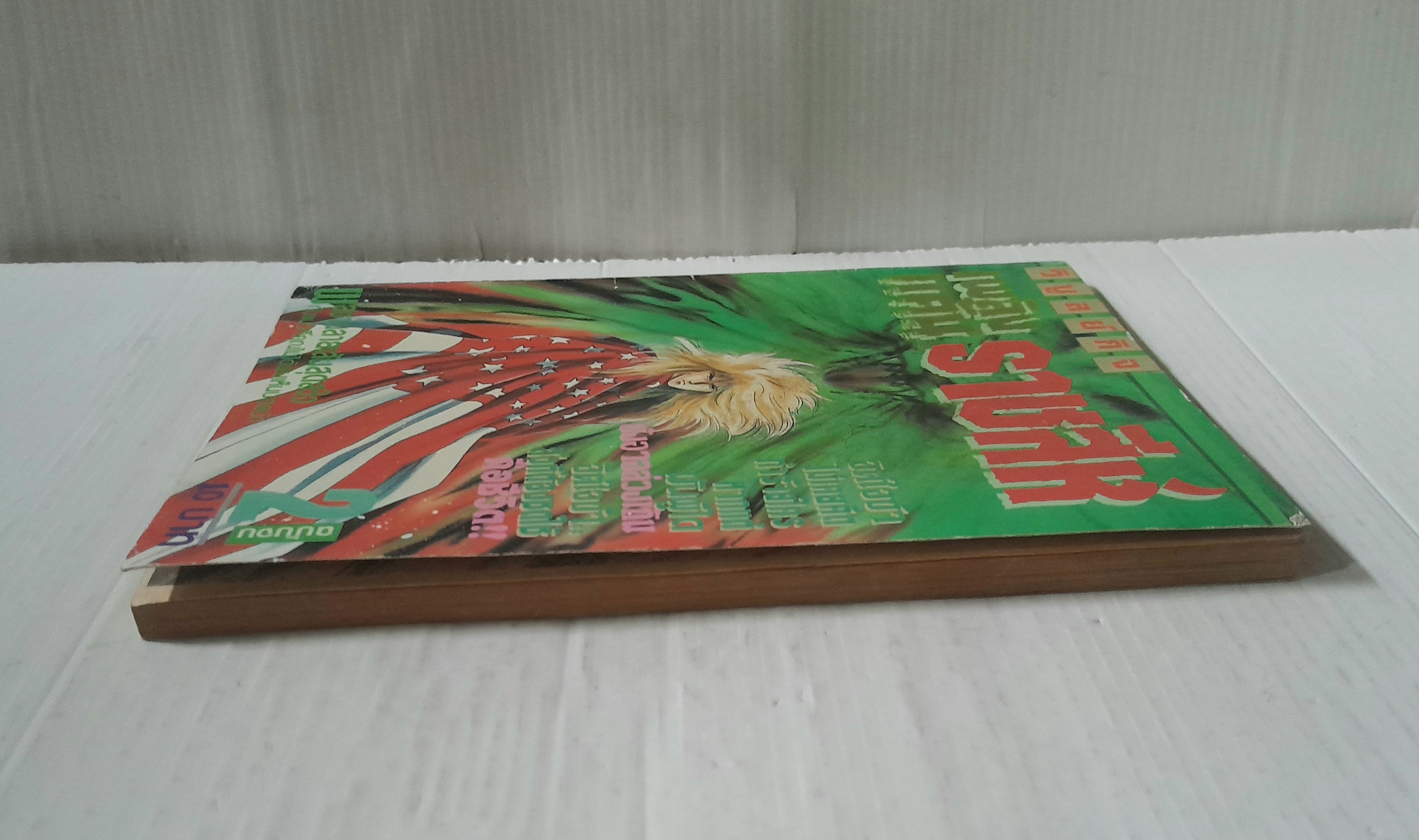 ้เพลิงแค้นราชสีห์ เล่ม 2 (2 เล่มจบ)