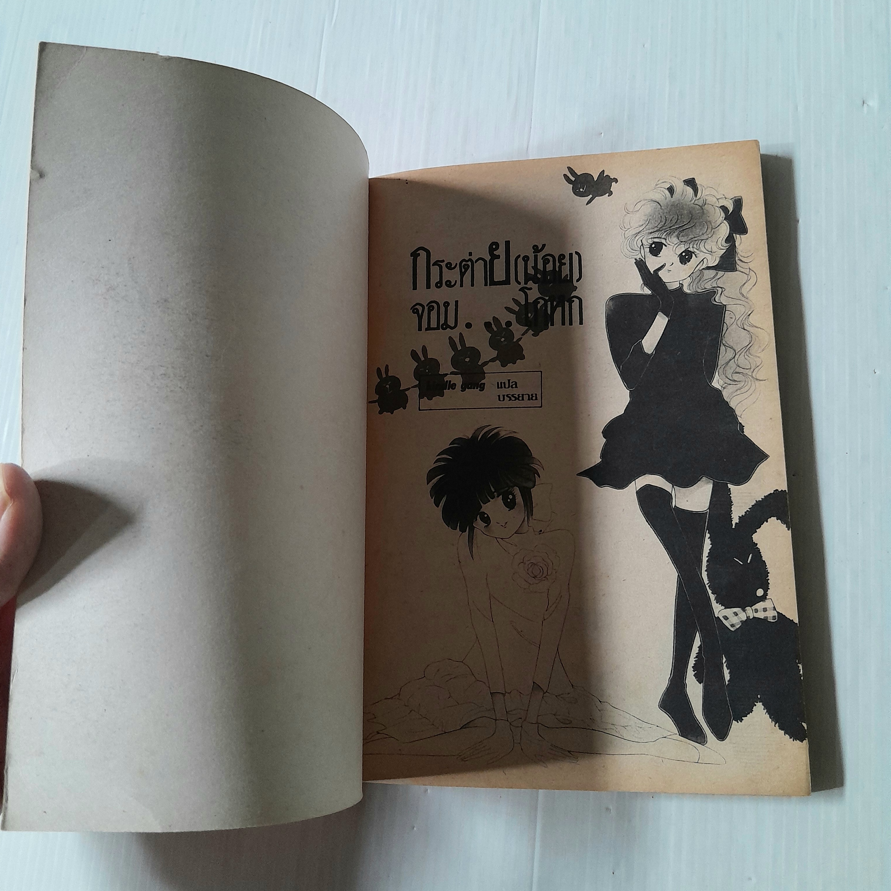 กระต่าย(น้อย) จอม..โกหก (เล่มเดียวจบ) / KAORU TADA