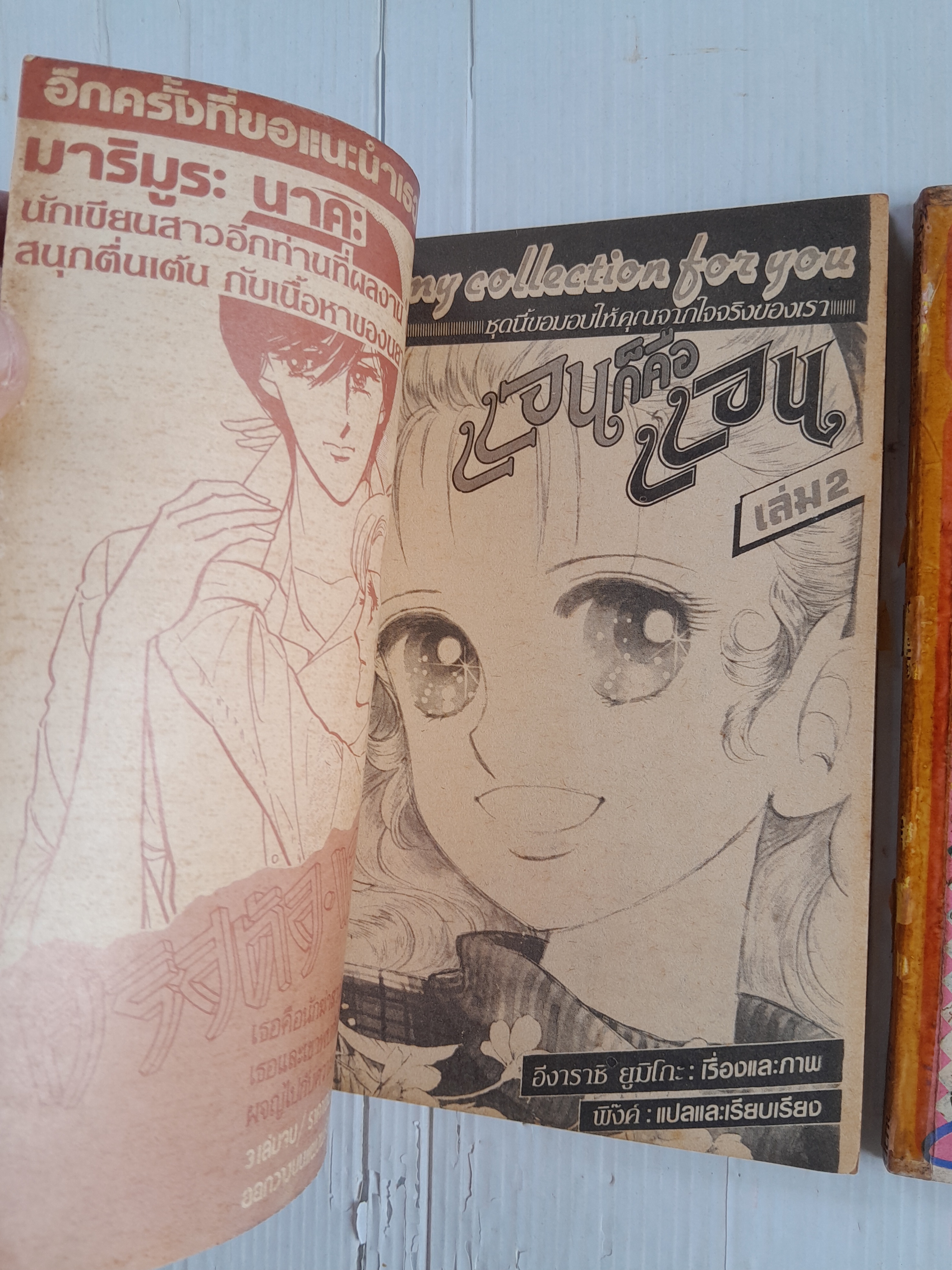 แอนก็คือแอน 3 เล่มจบ / อิงาราชิ ยูมิโกะ