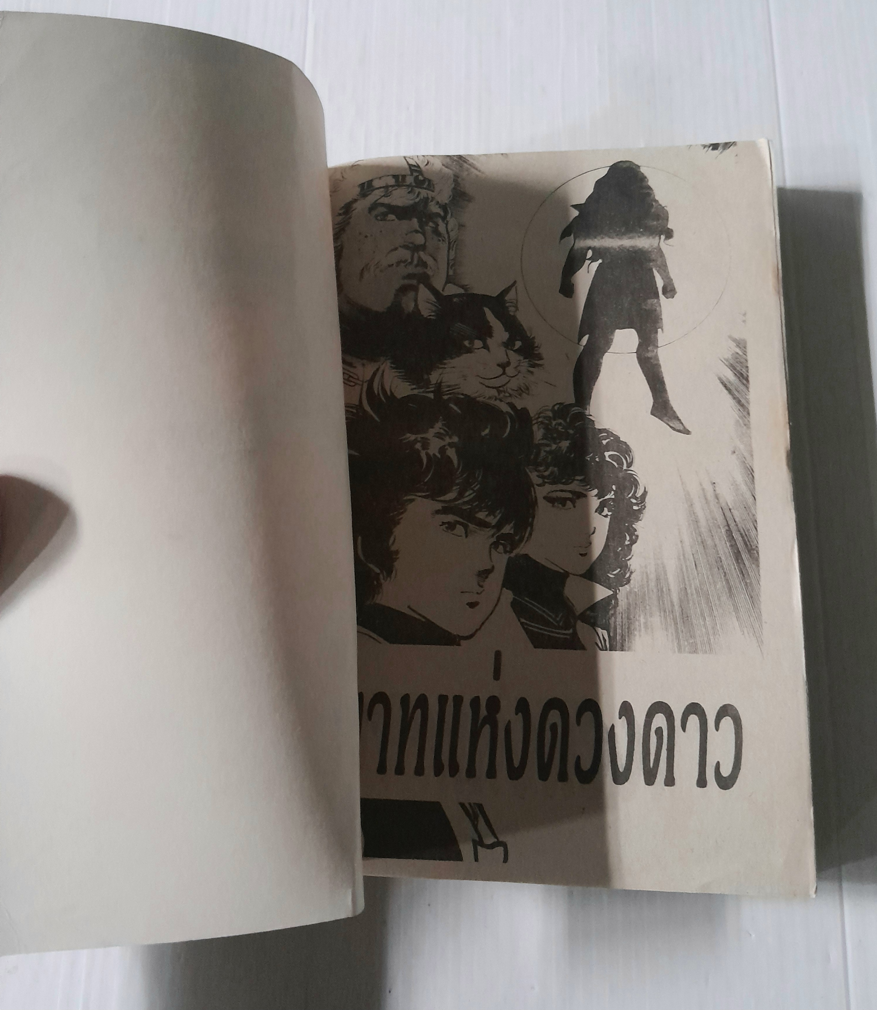 ทายาทแห่งดวงดาว 2 เล่มจบ / อิเคงามิ เรียวอิจิ