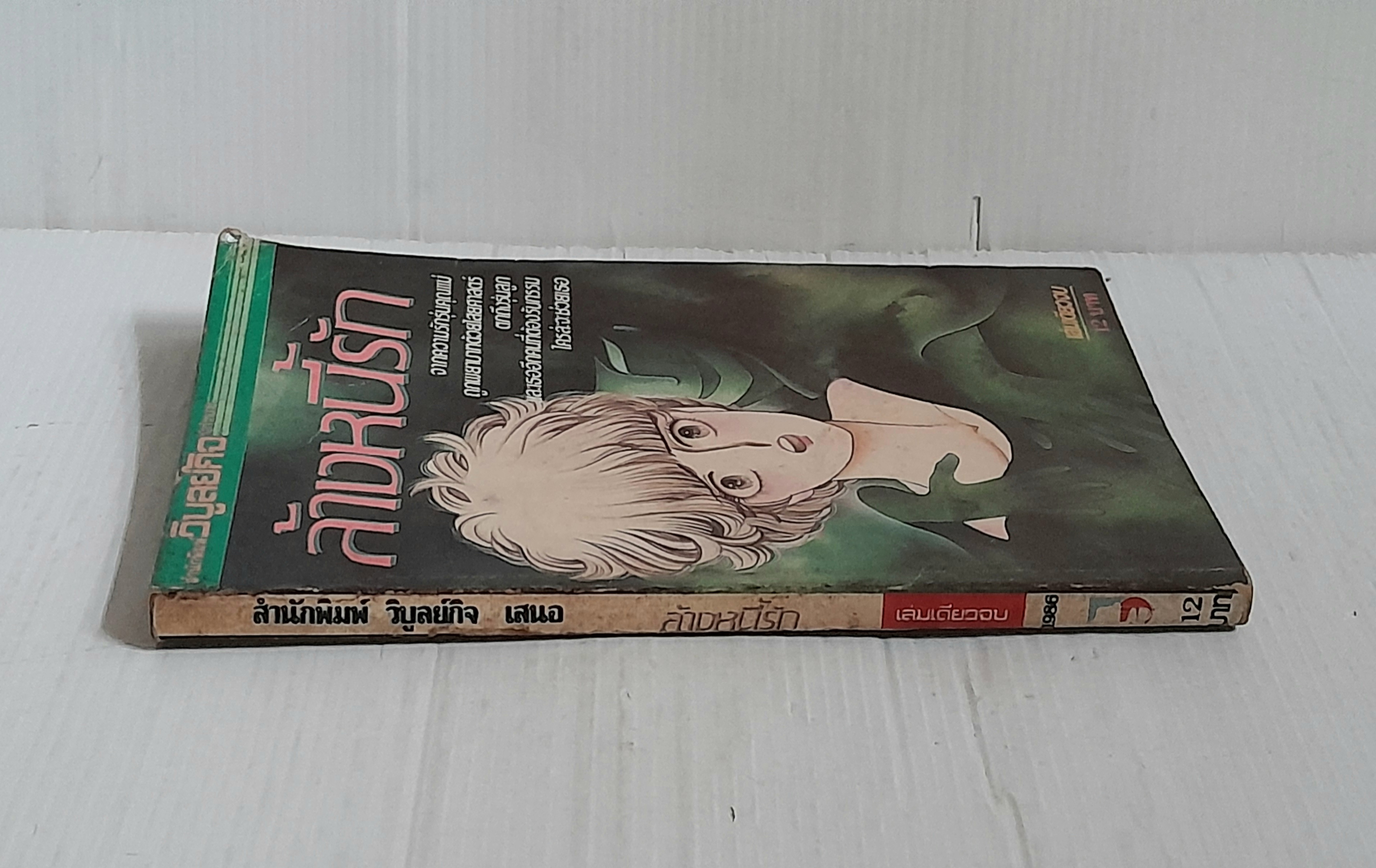 ล้างหนี้รัก (เล่มเดียวจบ)