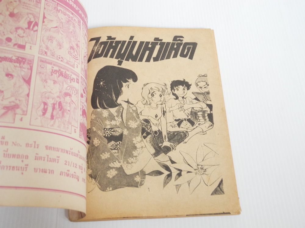 ไอ้หนุ่มหัวเห็ด