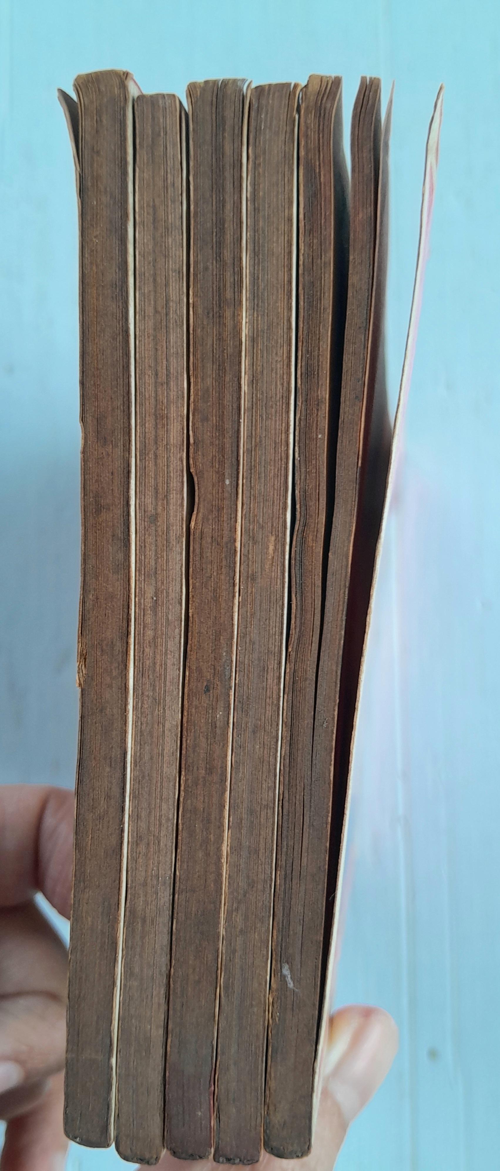 ออเร้นซ์ซิตี้ 5 เล่มจบ / นาคะ โทโมโกะ