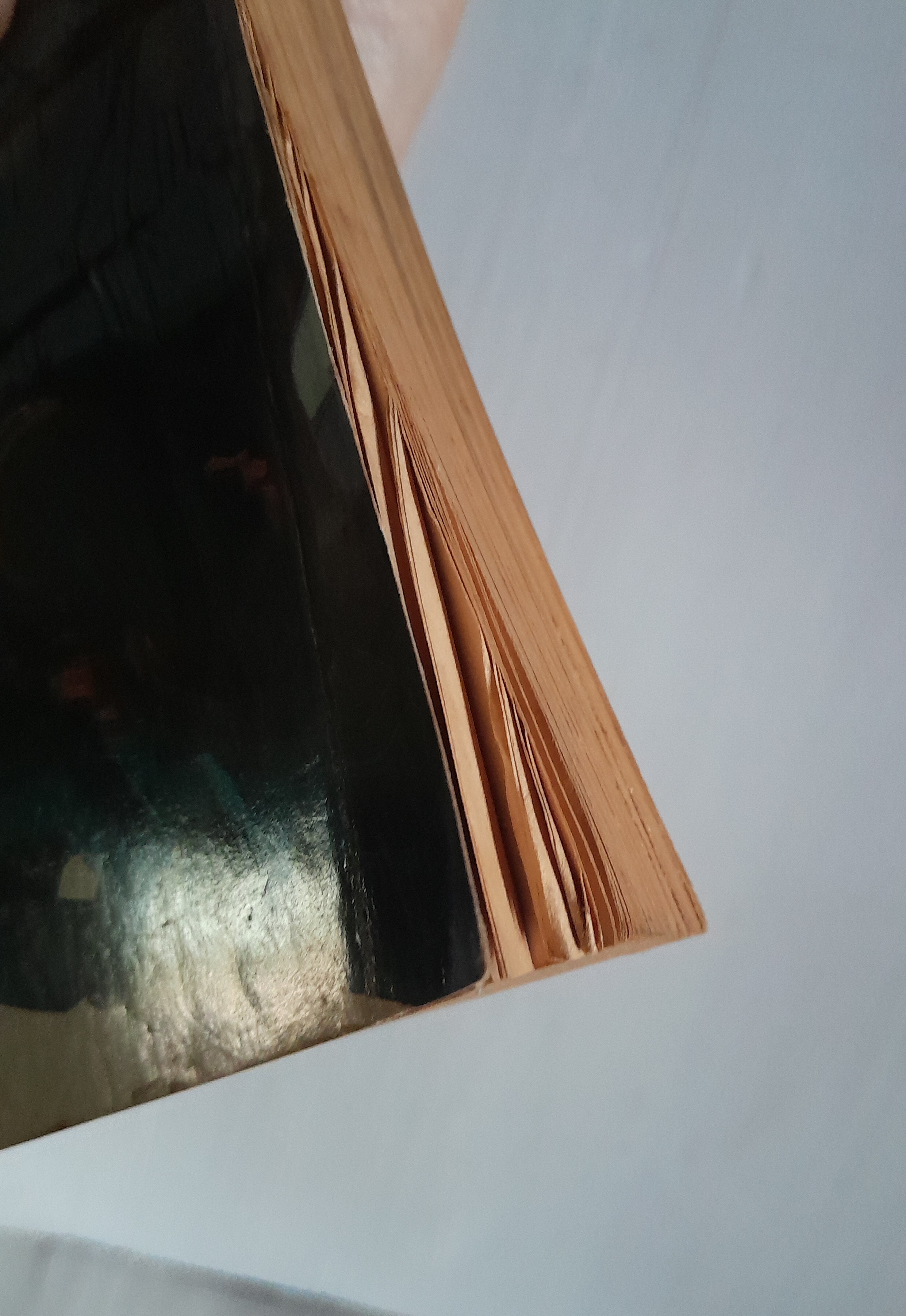 ดอกสายโลหิต (เล่มเดียวจบ)