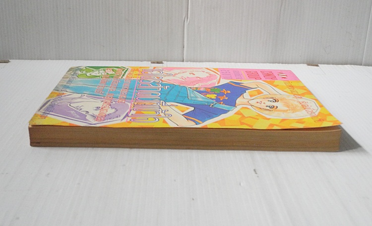 ขอใครสักคนที่เข้าใจ (เล่มเดียวจบ) / Makimura Satoru