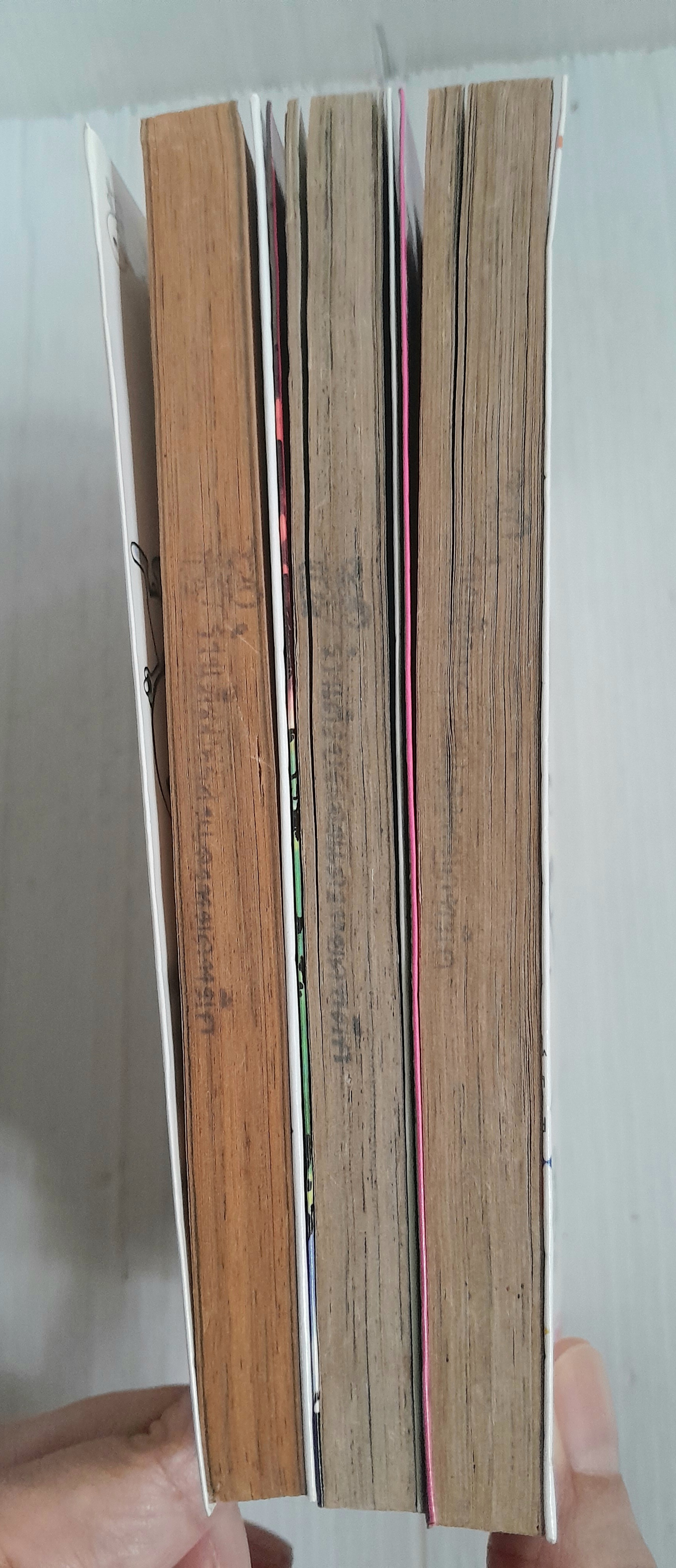 RAVE ไดอารี่ของหมาพลู 3 เล่มจบ