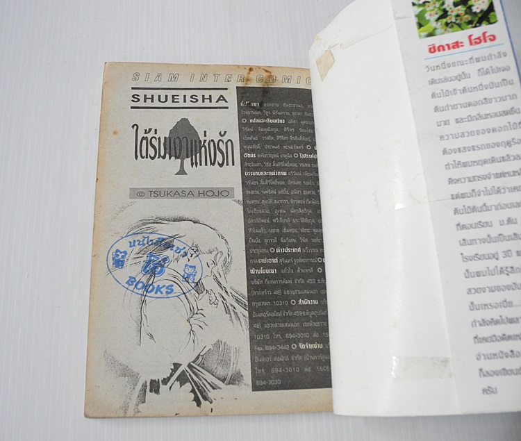 ใต้ร่มเงาแห่งรัก เล่ม 1 (3 เล่มจบ) / Tsukasa Hojo