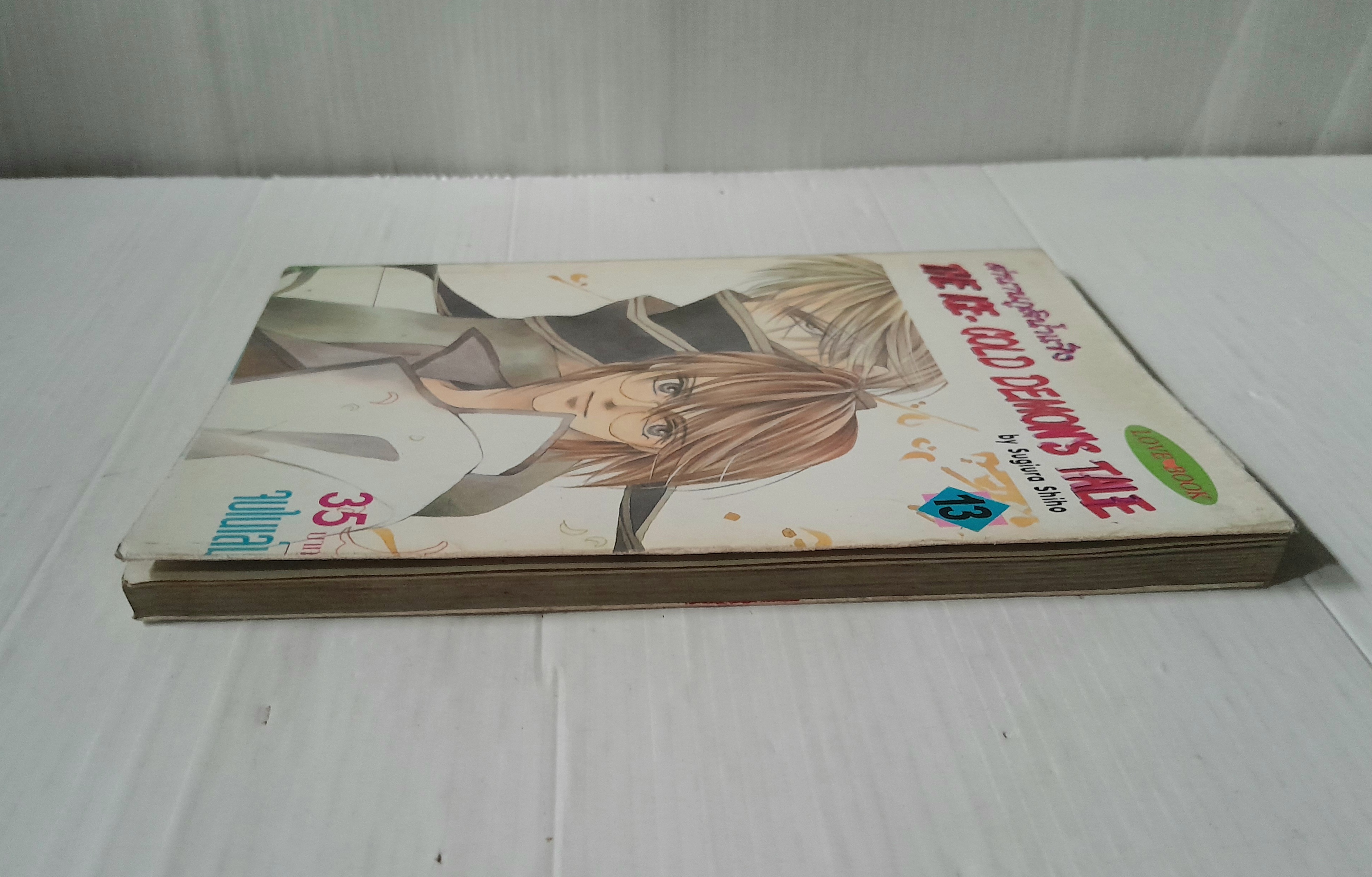 ตำนานภูตน้ำแข็ง เล่ม 13 (เล่มเดียวจบ) / Sugiura Shiho