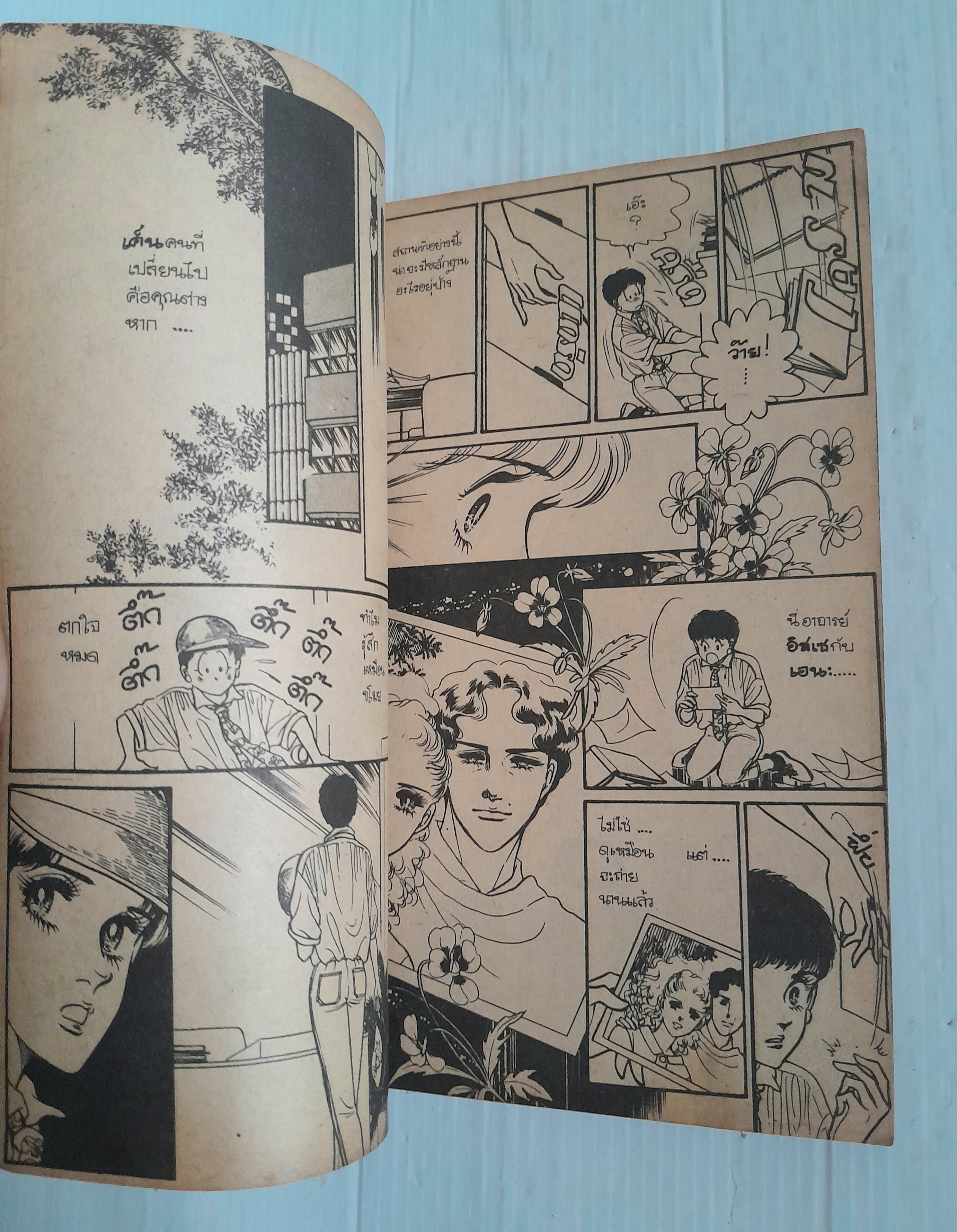 แดนพิศวง (เล่มเดียวจบ) / ชิบาตะ อายูโกะ