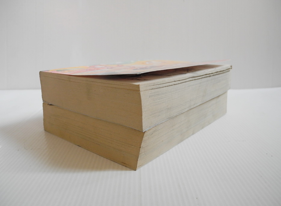 โกลด์ รักนี้สีทอง ครบชุด 2 เล่มจบ