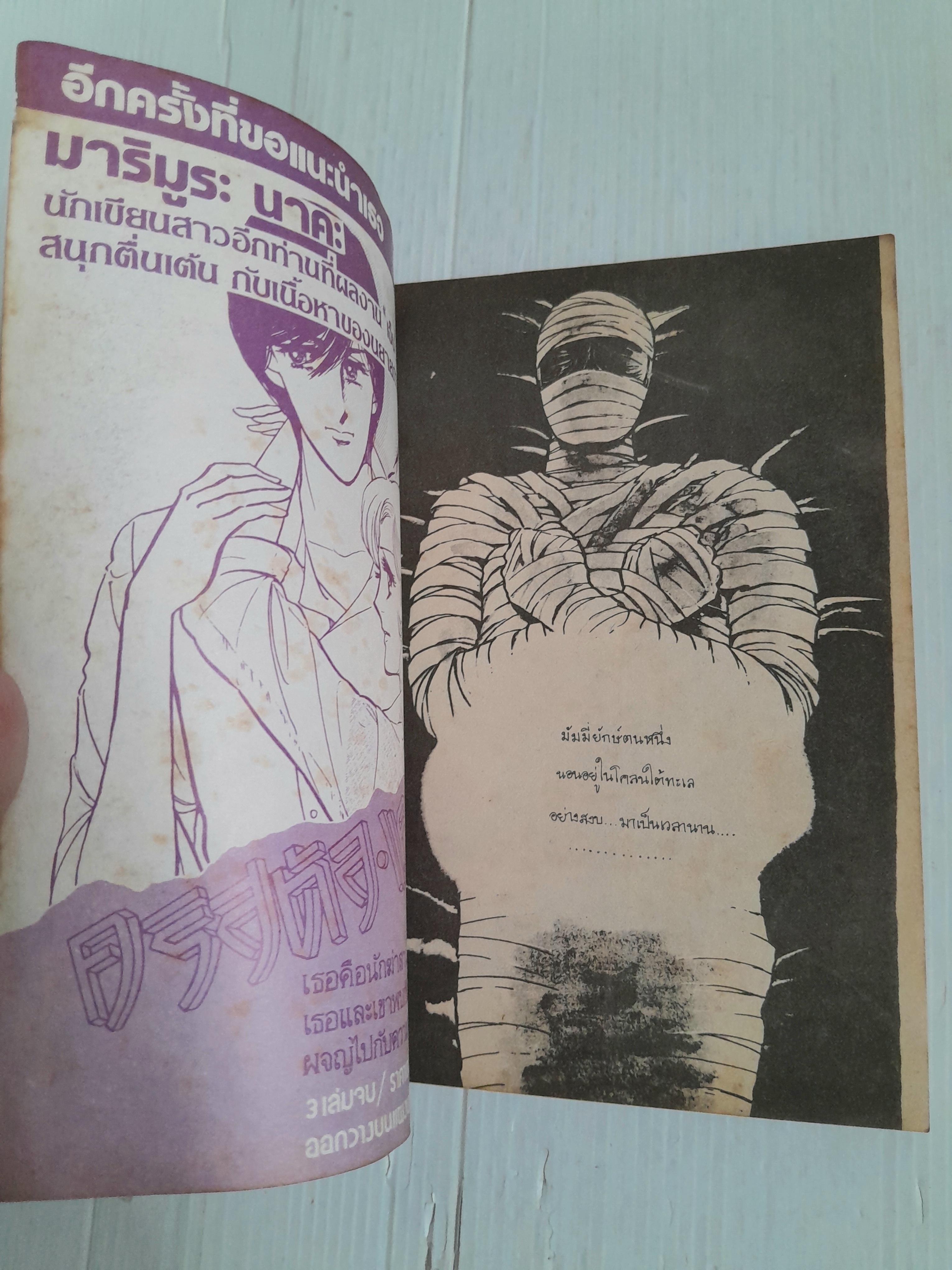 มัมมี่คืนชีพ (เล่มเดียวจบ) / Wada Shinji