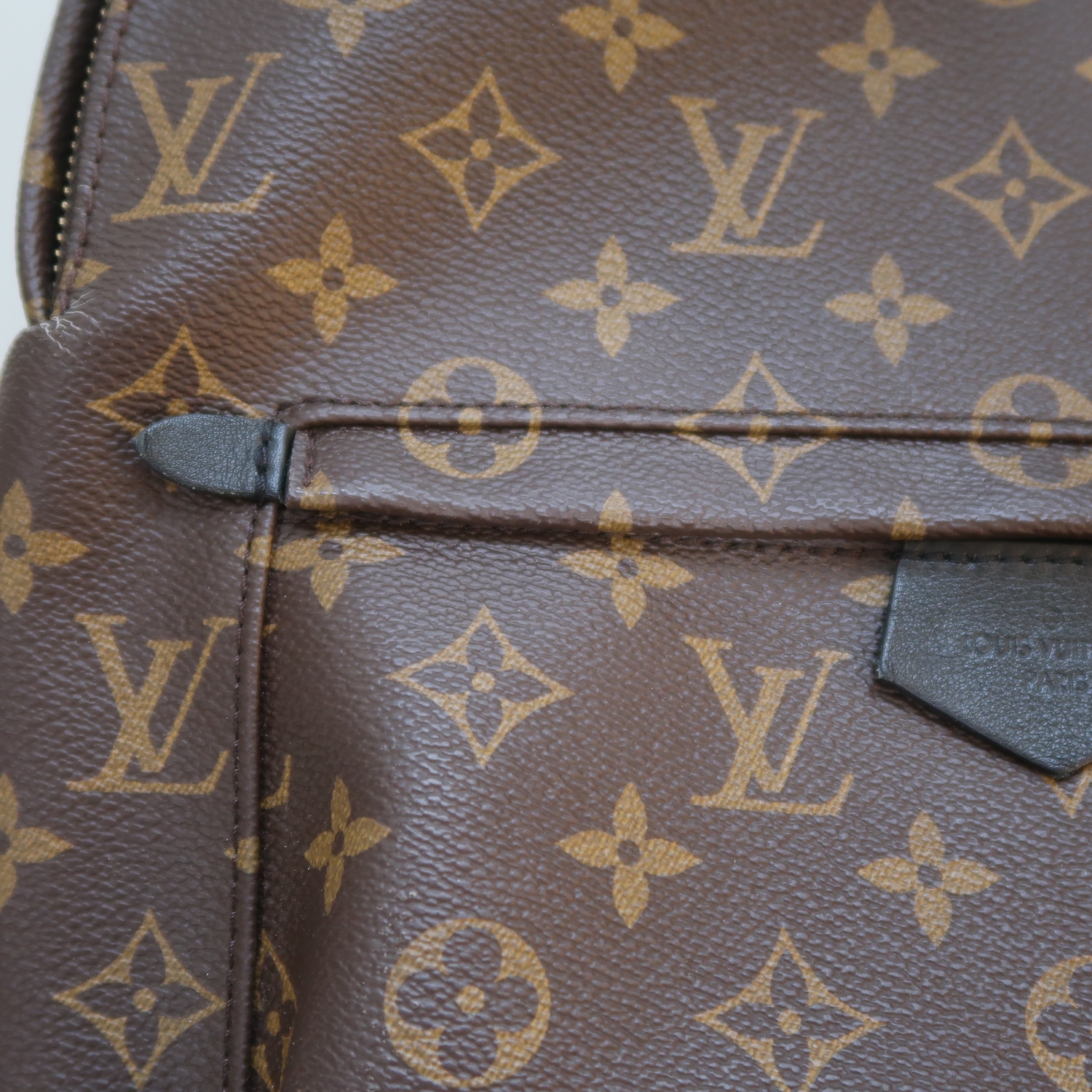 Louis Vuitton Monogram Palm Spring MM