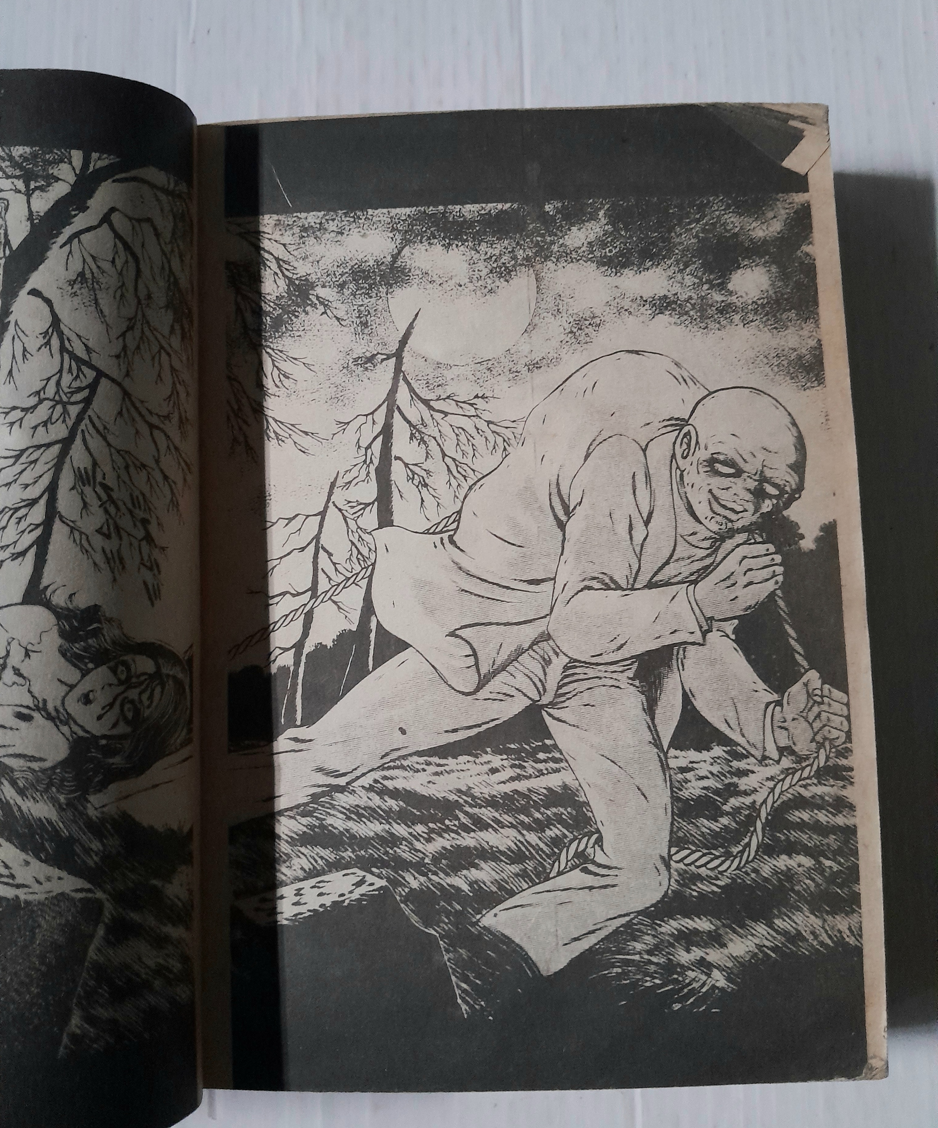 แดร๊กคิวล่ากระหายเลือด (เล่มเดียวจบ)