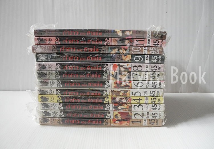 เจ้าสาวของฮาแบ็ค เล่ม 1-14 (ไม่ครบขาดเล่ม 12 กับ 14 ค่ะ)