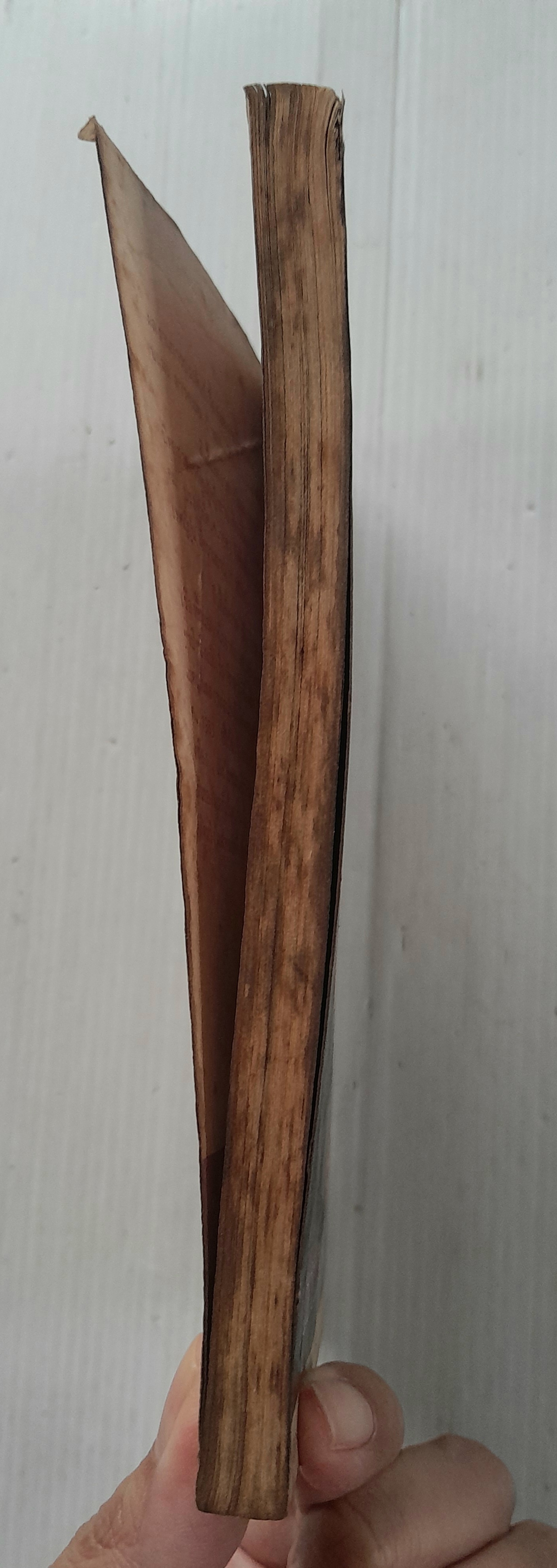 ผีเสื้อพิศวาส (เล่มเดียวจบ) / ซาโตนะกะ มาจิโกะ