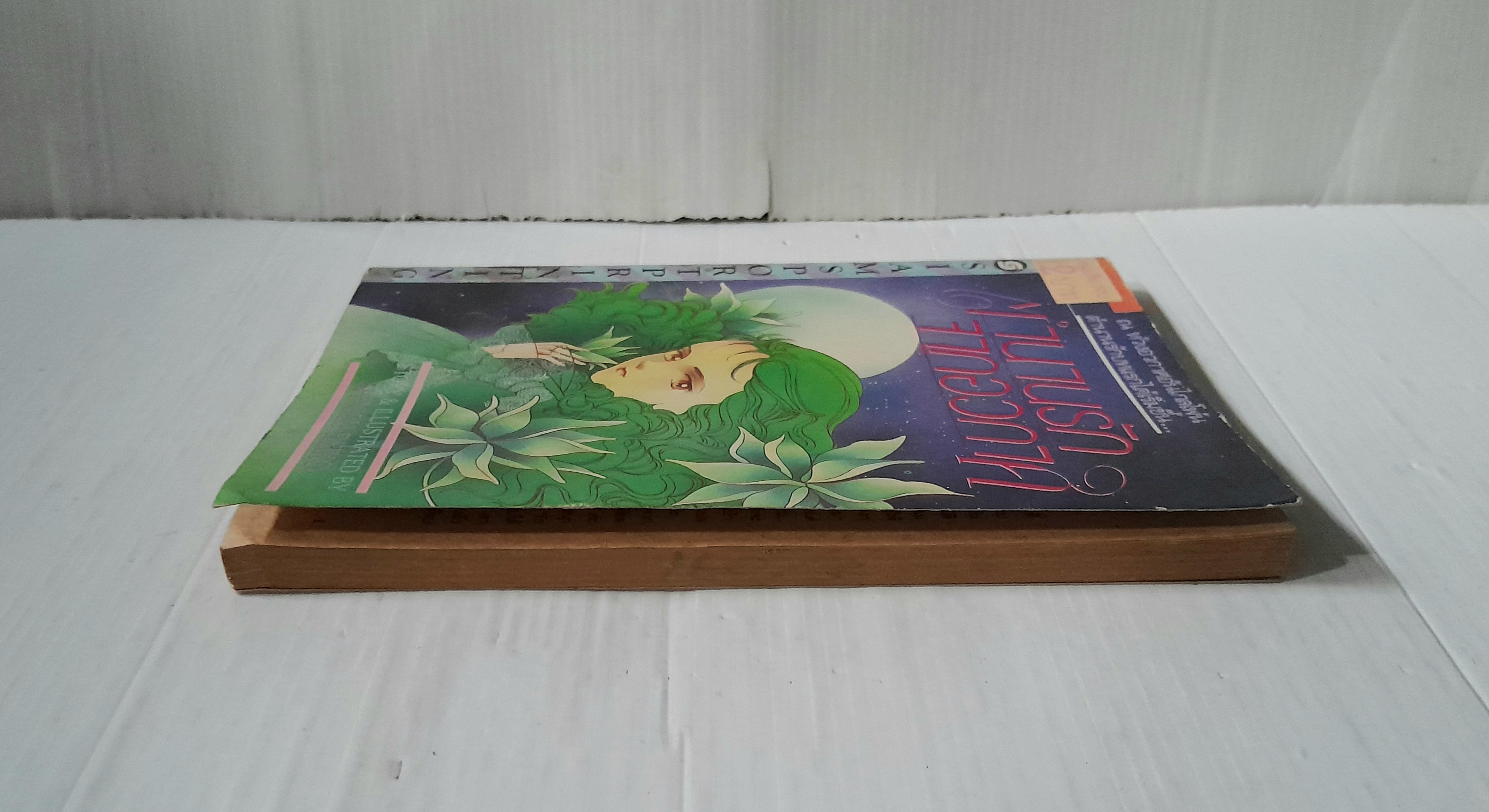 ตำนานรักจากอวกาศ (เล่มเดียวจบ) / Shimizu Reiko