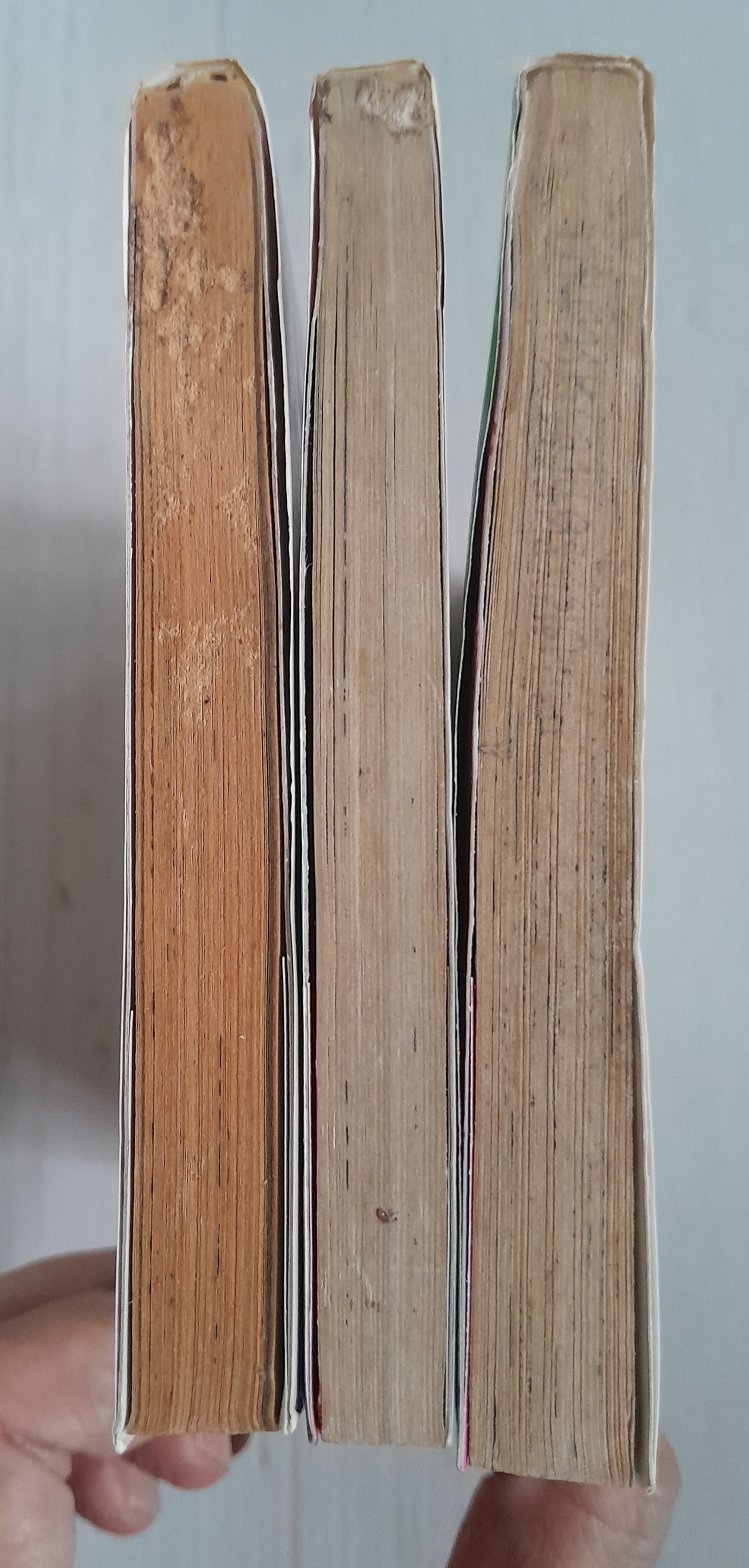 RAVE ไดอารี่ของหมาพลู 3 เล่มจบ