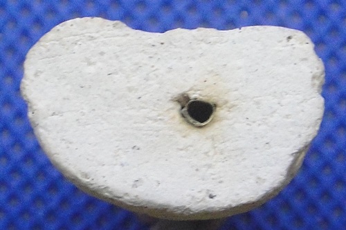 พระปิดตานกกระจิบ หลวงปู่เทียน วัดโบสถ์