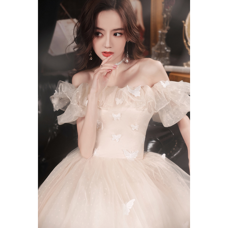 ชุดราตรี ชุดราตรีสวยหรู แบบ ทันสมัย Evening dress