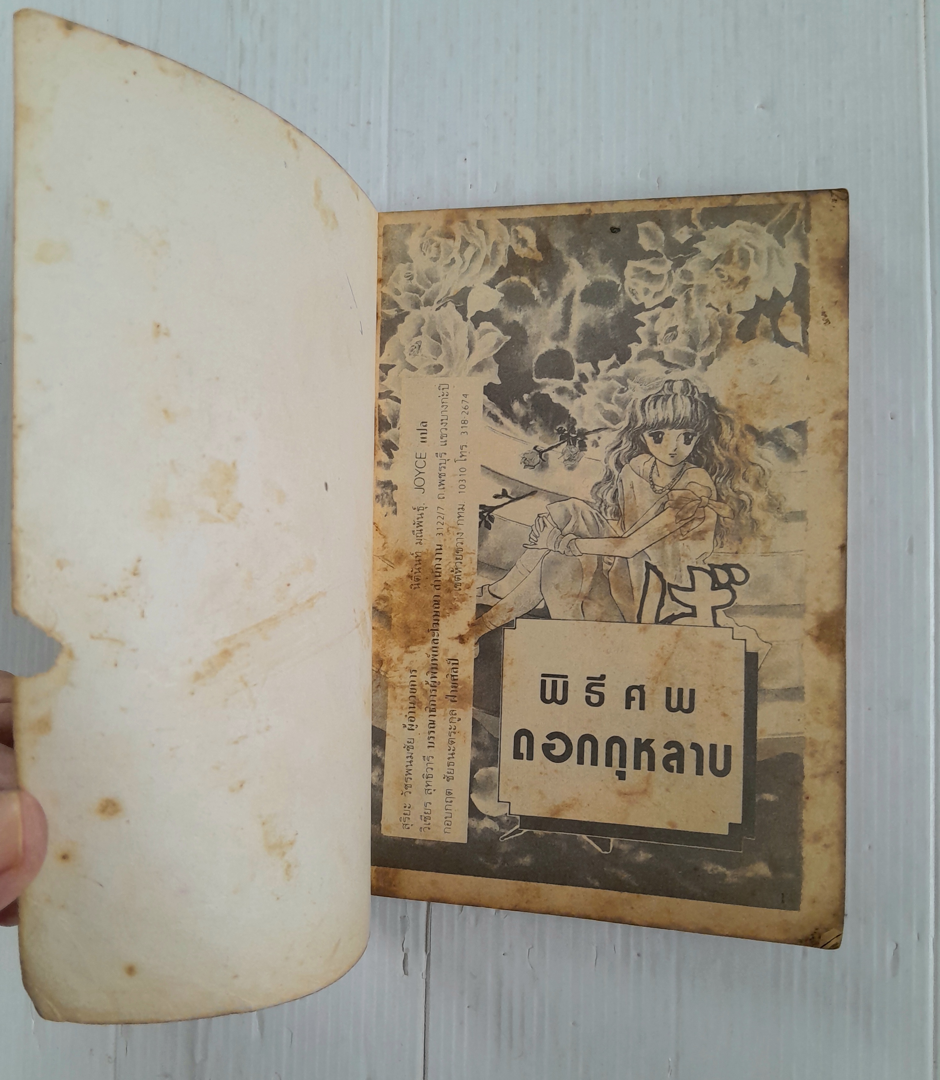 พิธีศพดอกกุหลาบ (เล่มเดียวจบ) / Matsumoto Yoko