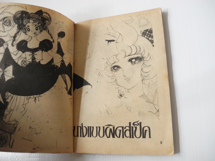 นางแบบผิดสเป๊ค (เล่มเดียวจบ)