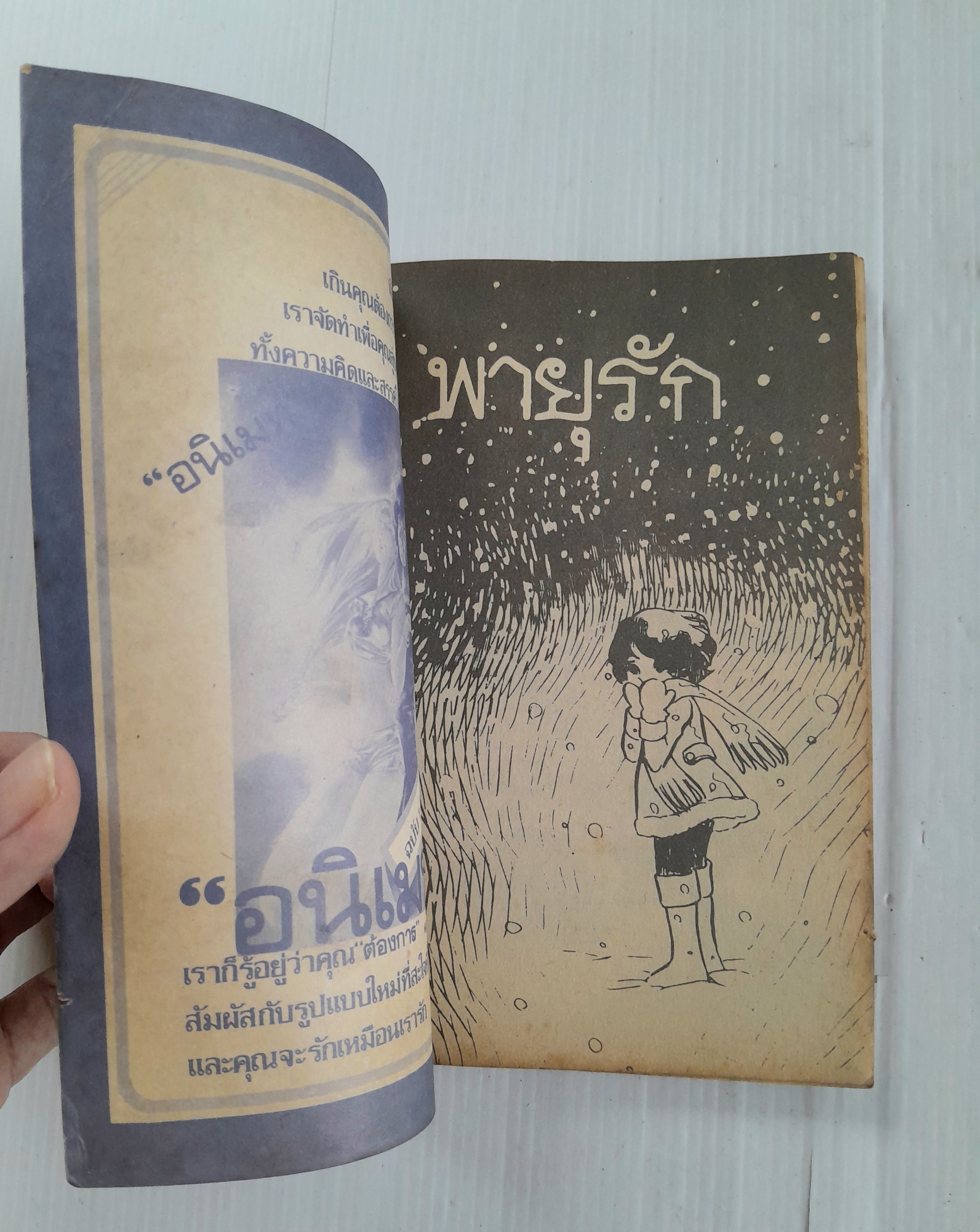 พายุรัก (เล่มเดียวจบ) / ชิโยจิ โยโกะ