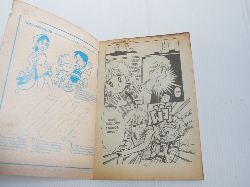 ยอดรักนักบิน ( เล่มจบ )