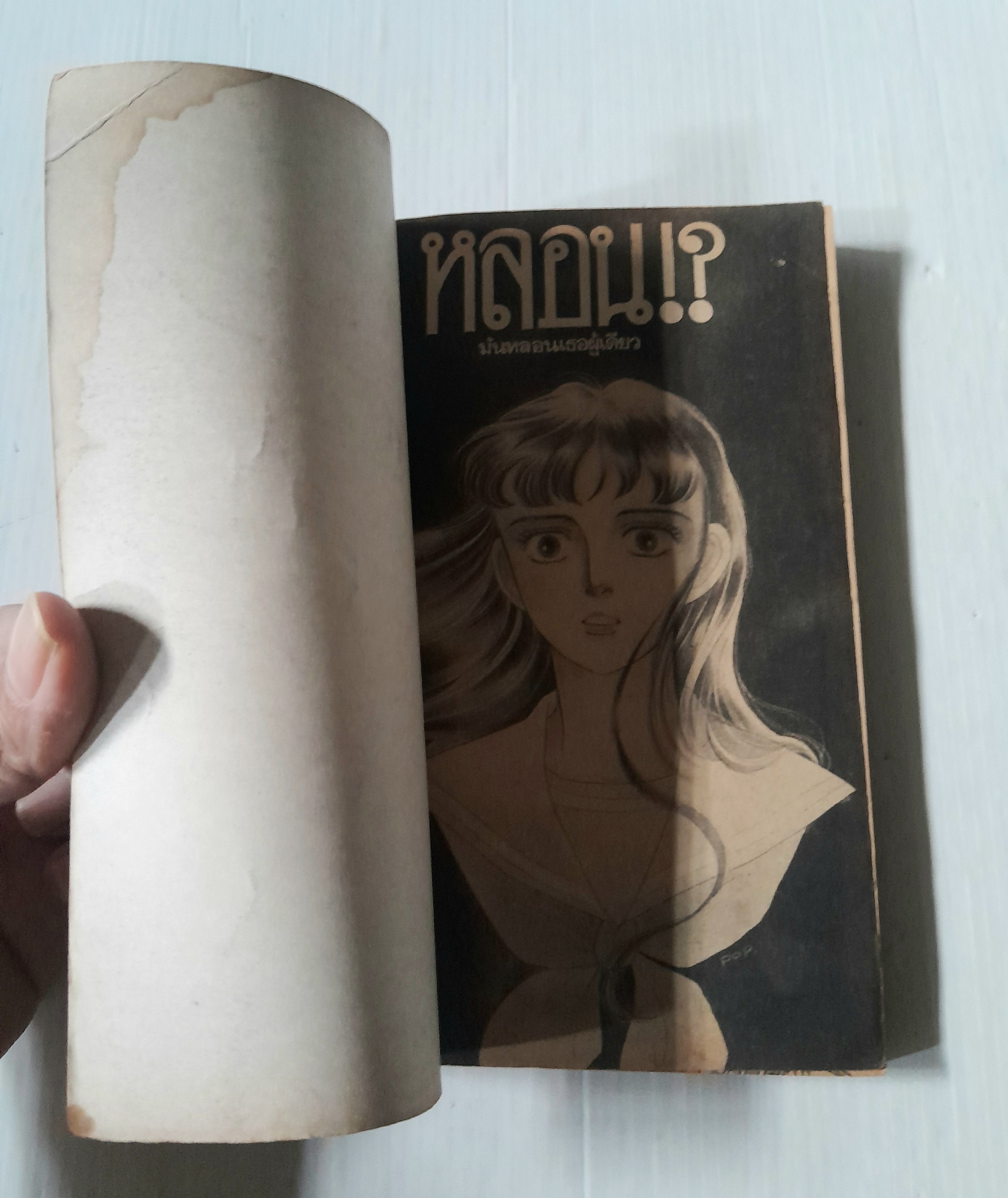 หลอน? (เล่มเดียวจบ)