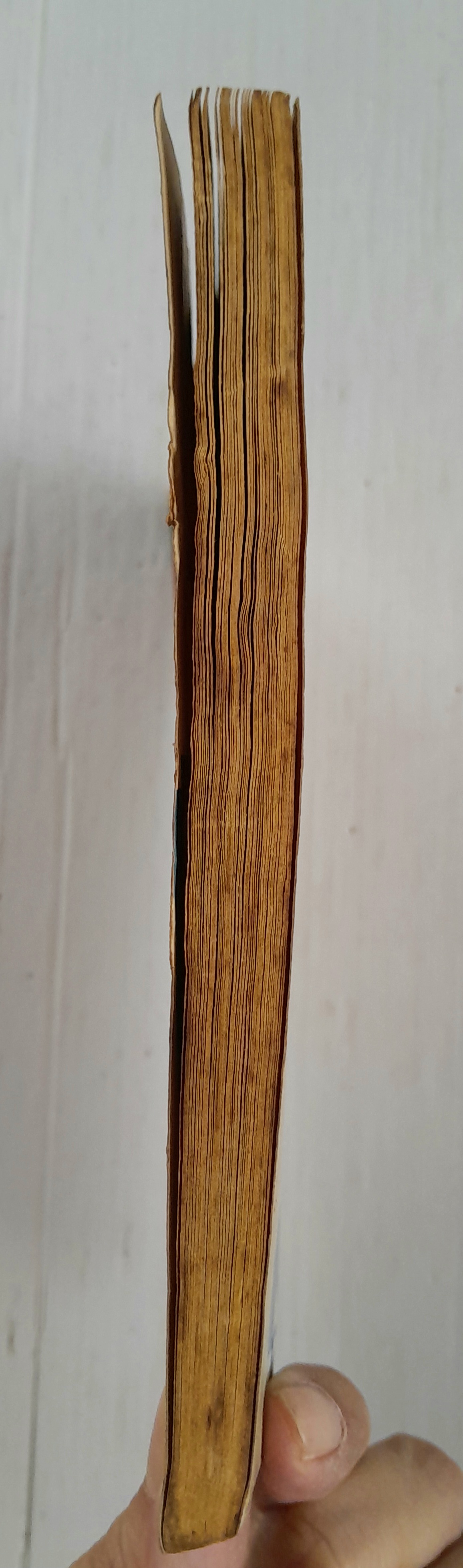 แรกรัก (เล่มเดียวจบ) / ฮาระ จิเอโกะ