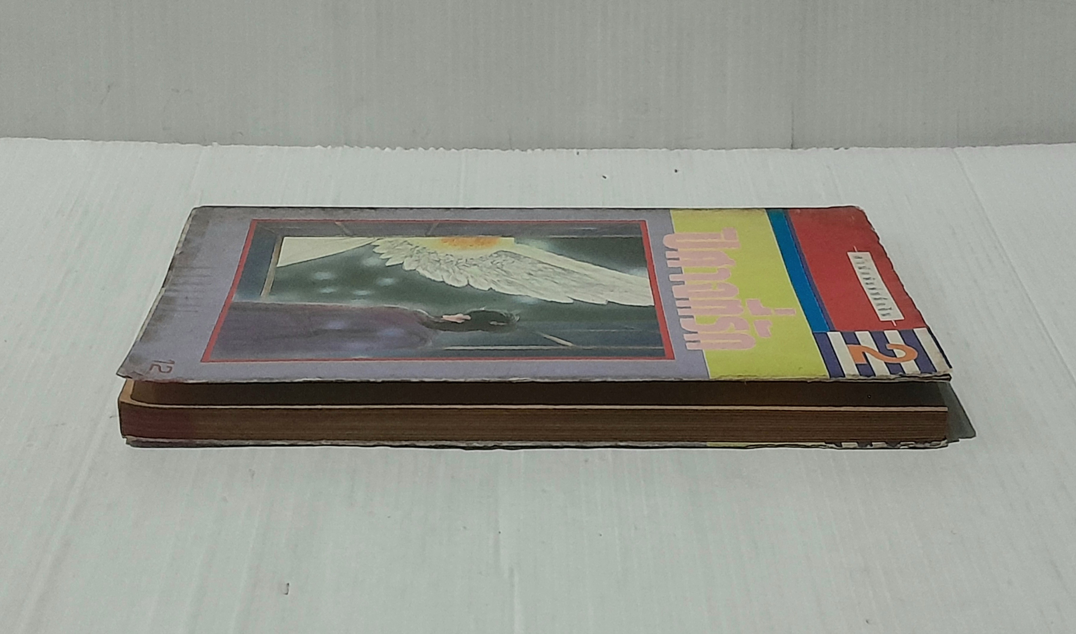 ปีศาจที่รัก (เล่มเดียวจบ)