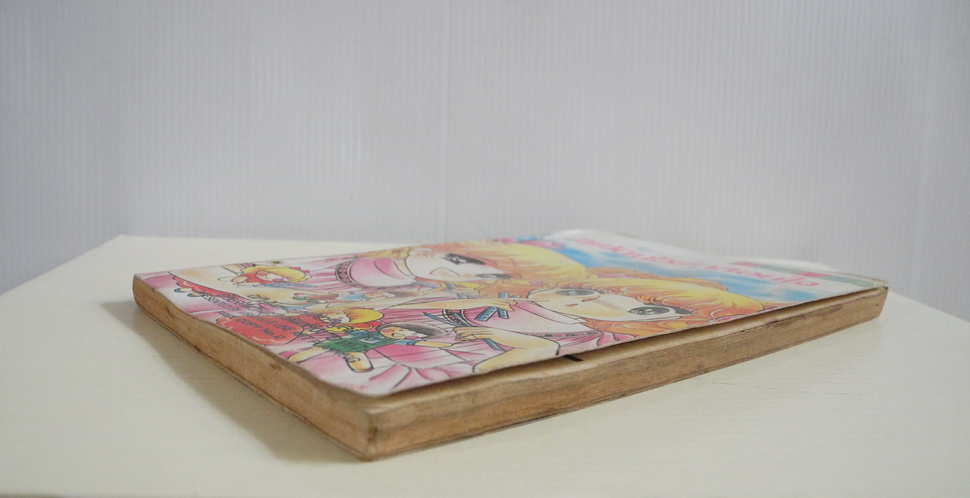 แฝดน้อยกลอยใจ / ฮาระ จิเอโกะ