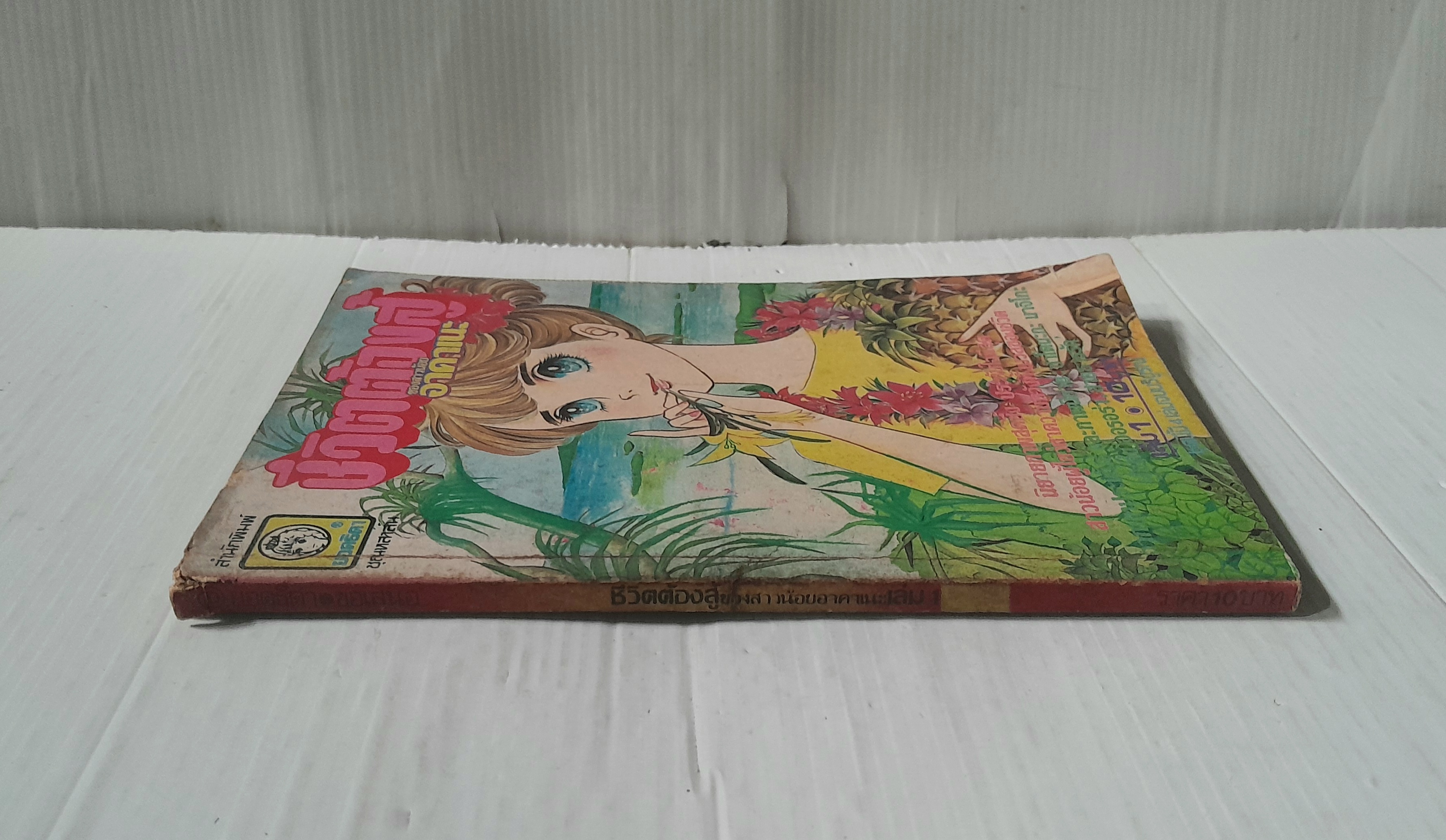 ชีวิตต้องสู้ของสาวน้อยอาคาเนะ เล่ม 1 (4 เล่มจบ) / ซาโตนะกะ มาจิโกะ