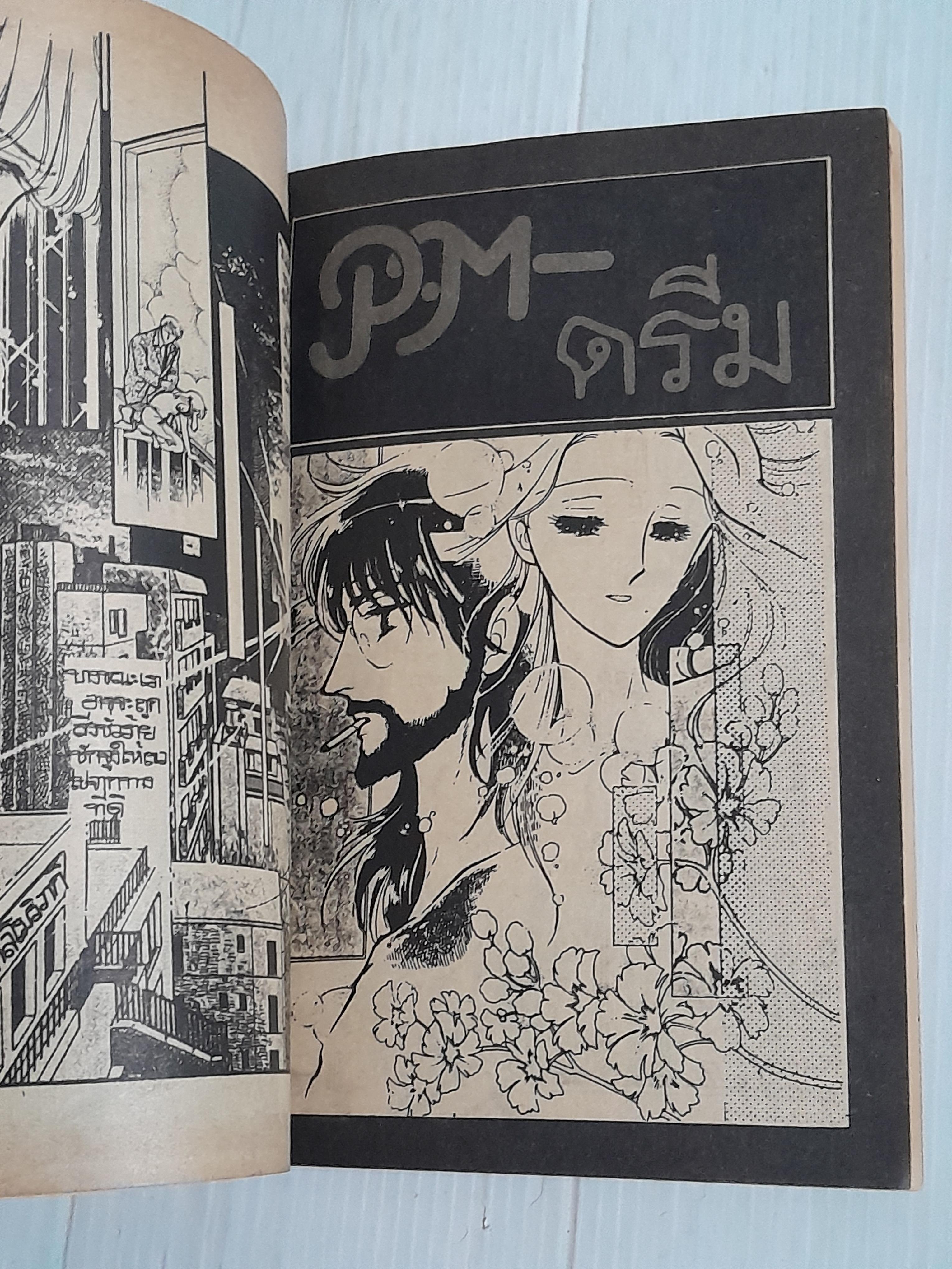 ความมืดสีเลือด (เล่มเดียวจบ)