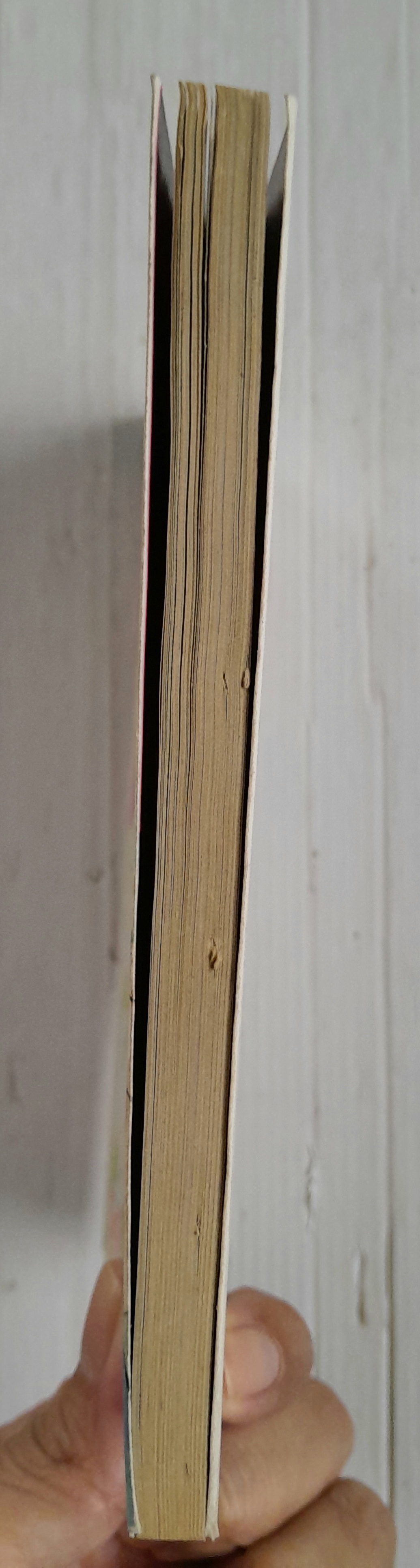 หากฉันได้พบเจ้าชาย (เล่มเดียวจบ) / ไซโต้ จิโฮ