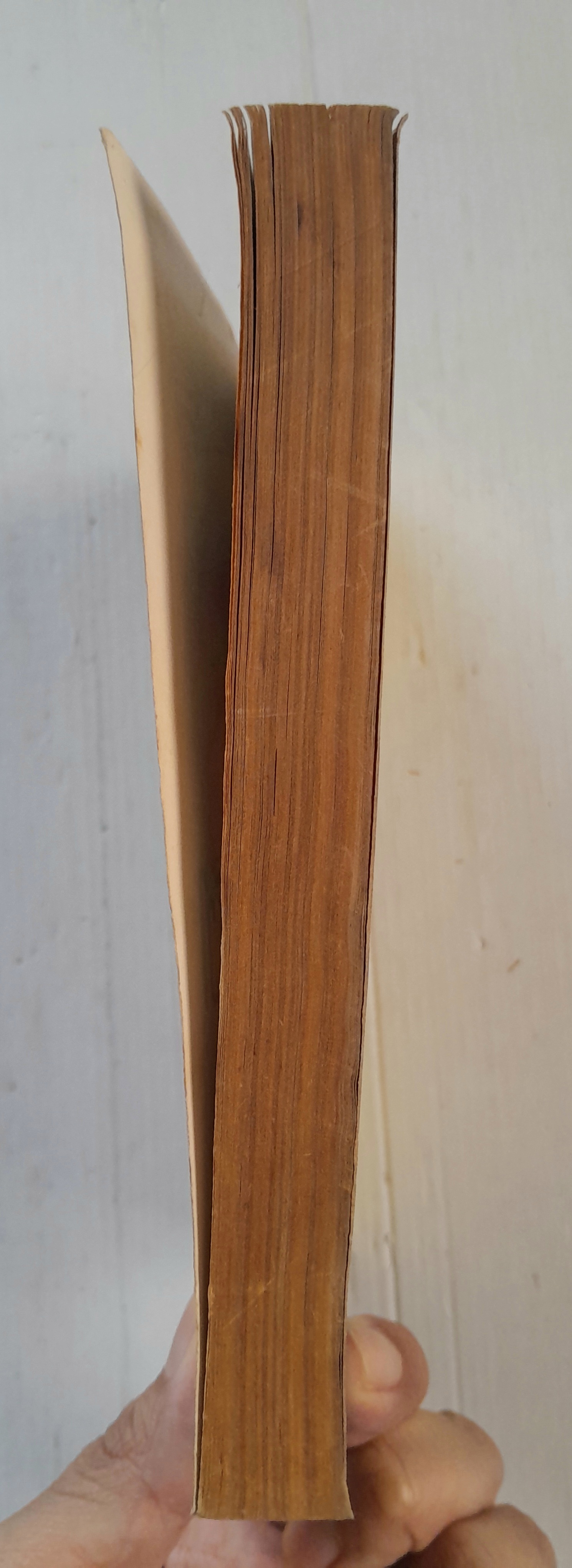 ้ครั้งหนึ่งของหัวใจ (อยากเก็บไว้นานๆ) (เล่มเดียวจบ) / Fujimura Mari