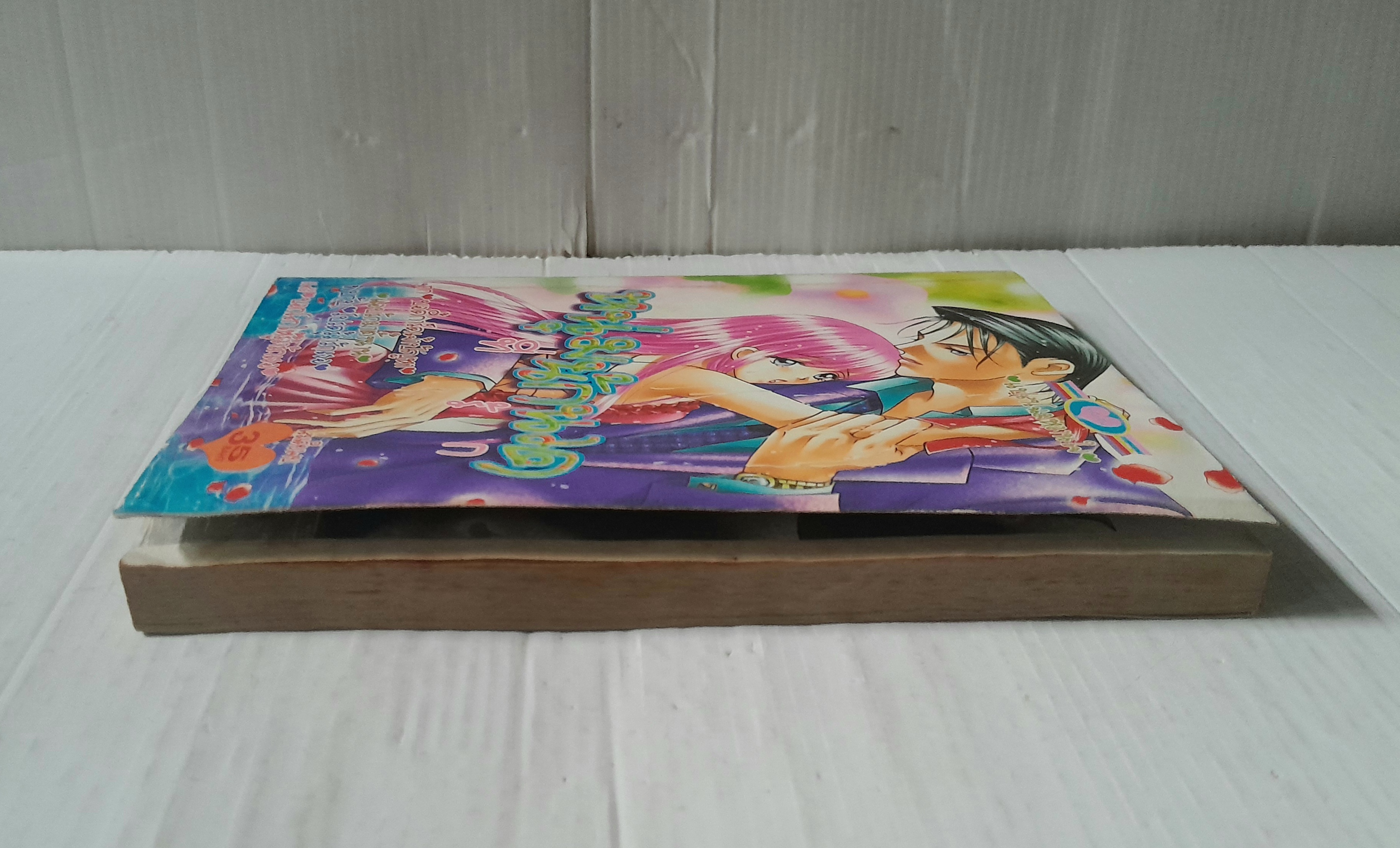 หนุ่มนักวาดที่รัก (เล่มเดียวจบ)