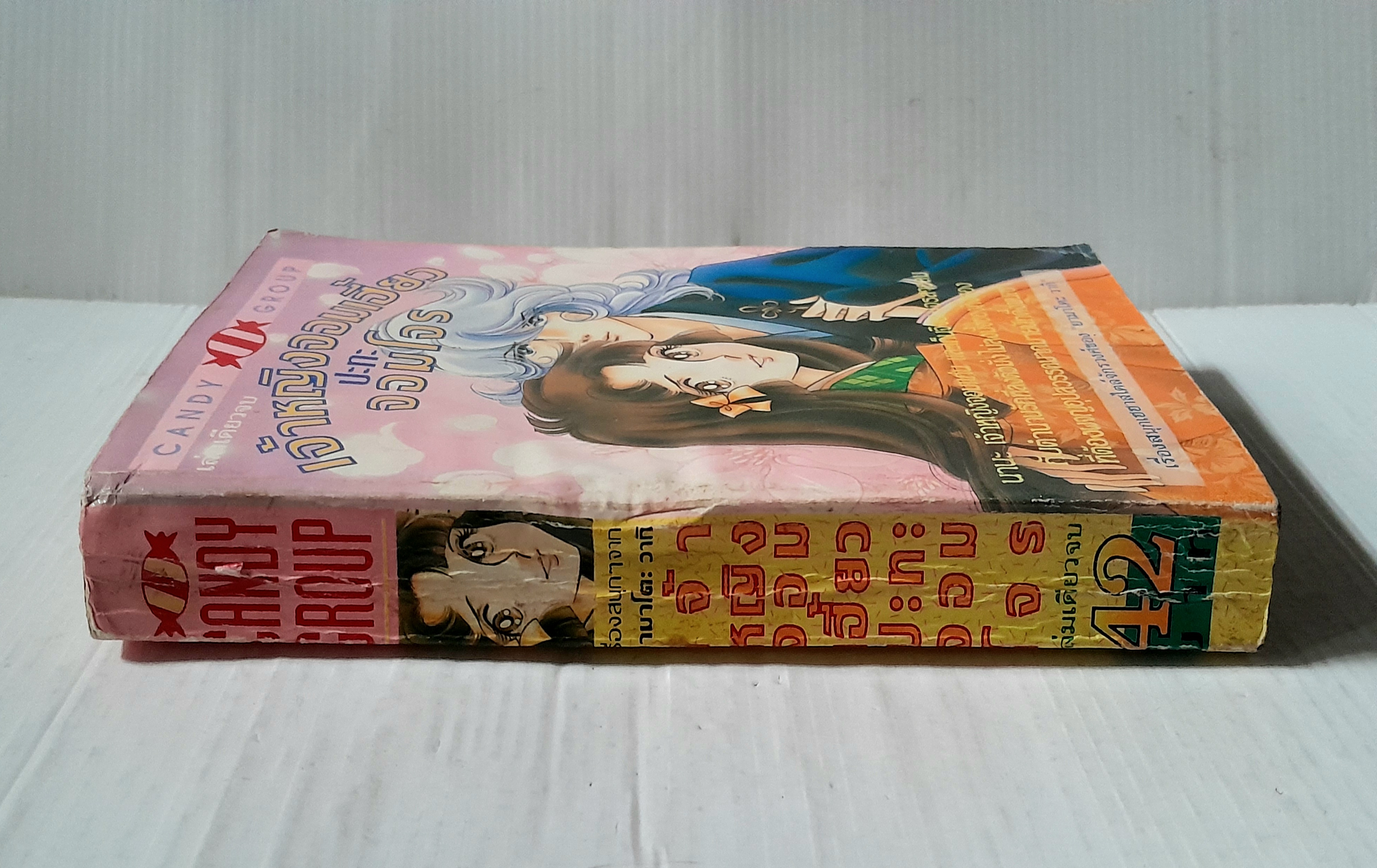 เจ้าหญิงจอมเฮี้ยวปะทะจอมโจร (เล่มเดียวจบ) / ยามาโตะ วากิ