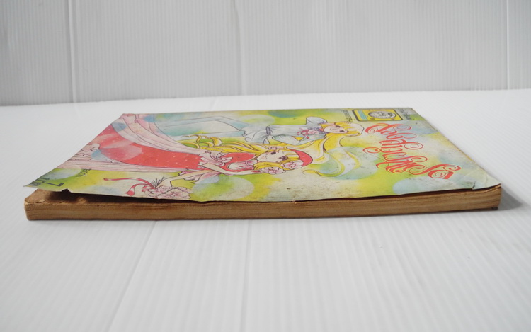 สองสาวฝาแฝด ( เล่มเดียวจบ ) / ฮาระ จิเอโกะ